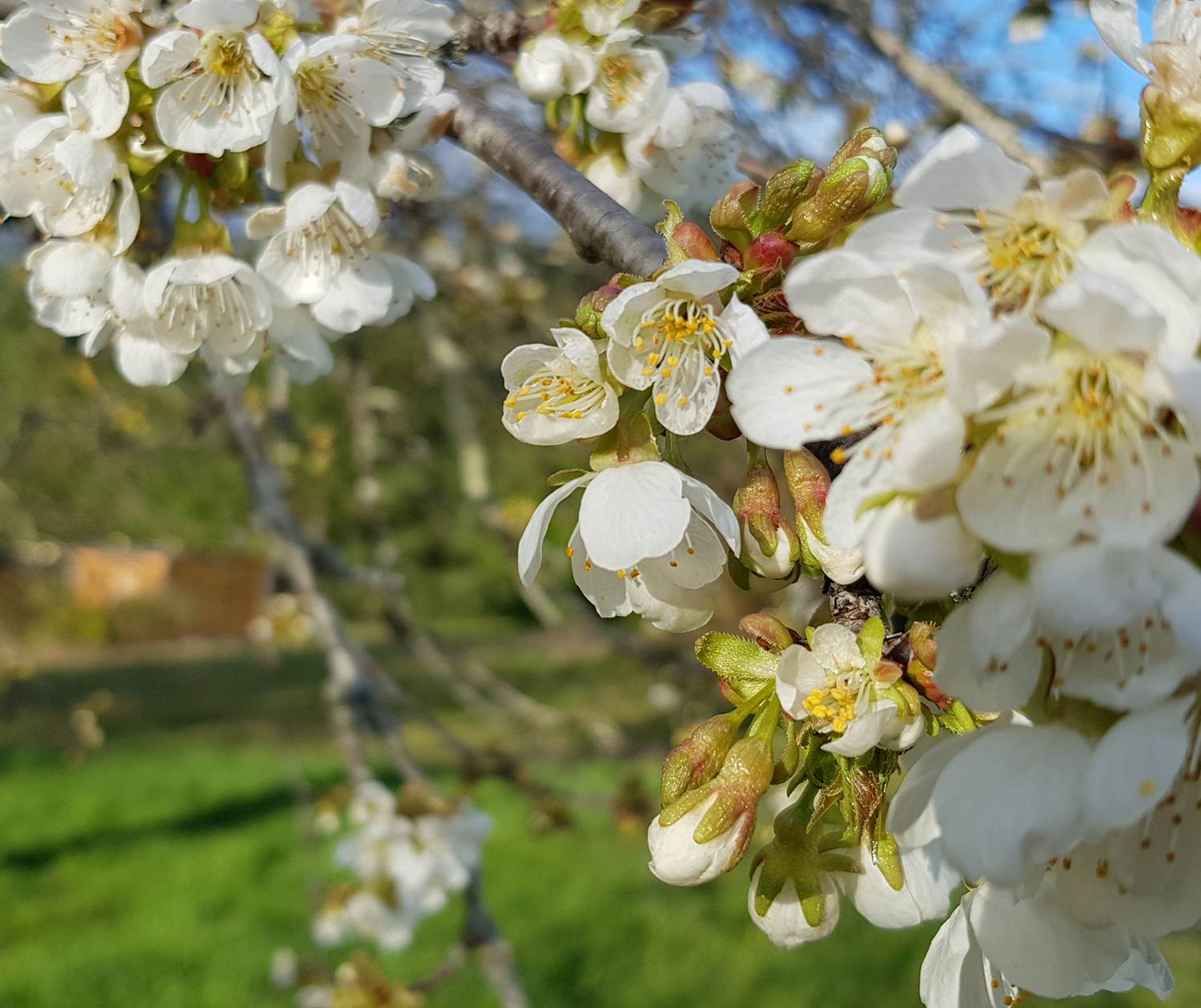 Vivez au rythme des saisons au Domaine des Anges.