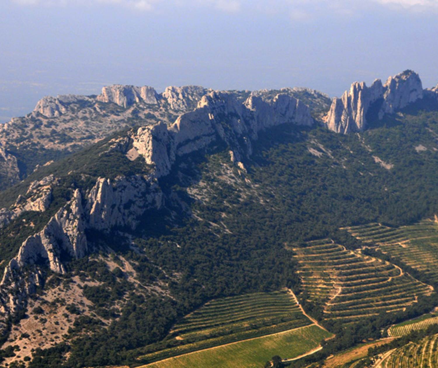 Dentelles photo1