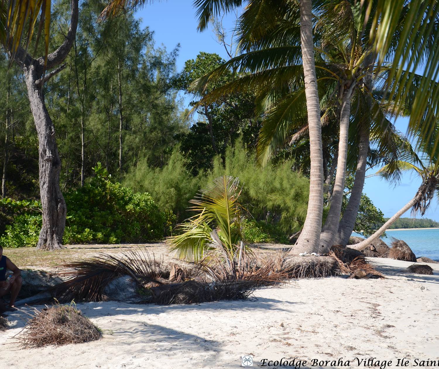 Baie d'Ampanihy Ile Ste Marie Madagascar 02