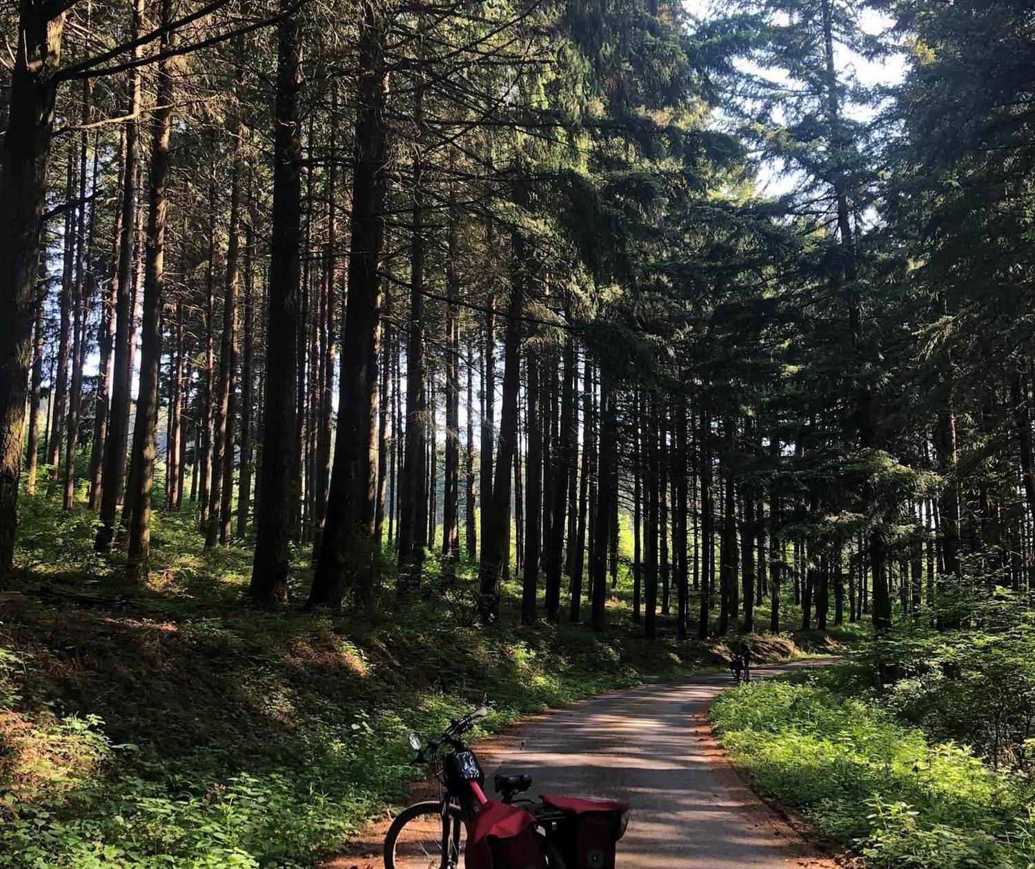 Quelques centaines de mètres plus loin...