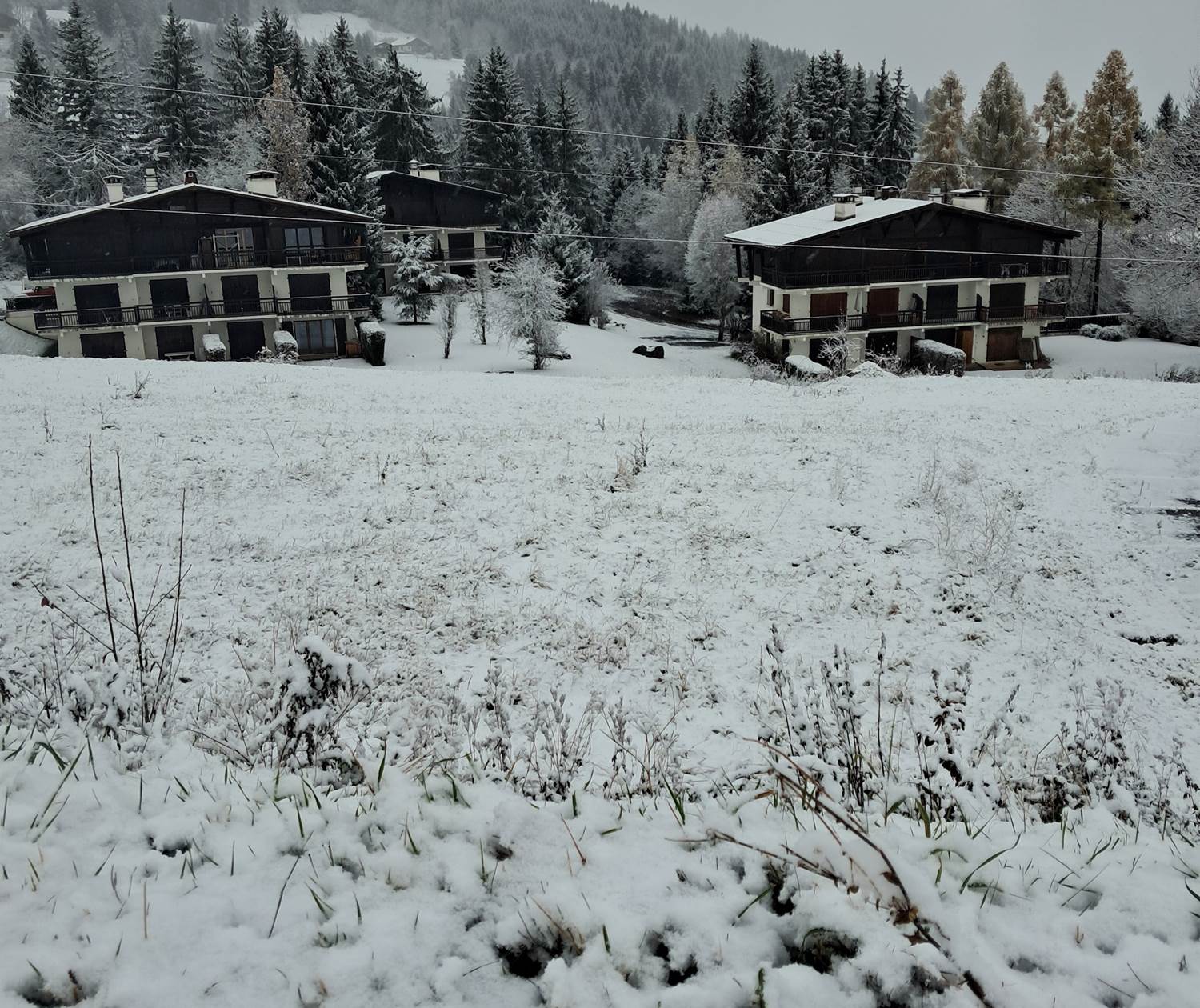 La résidence se couvre de blanc