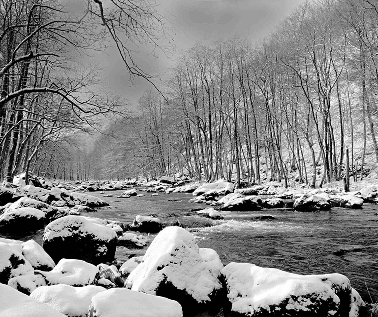 Fonds_de_Quarreux_-_07[2]