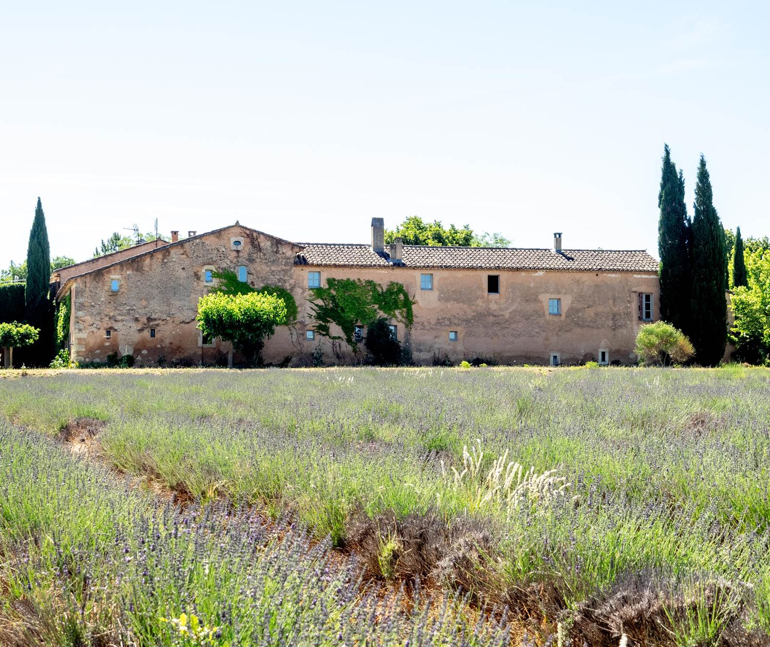 La façade du Mas Réséda depuis le champ de Lavande.