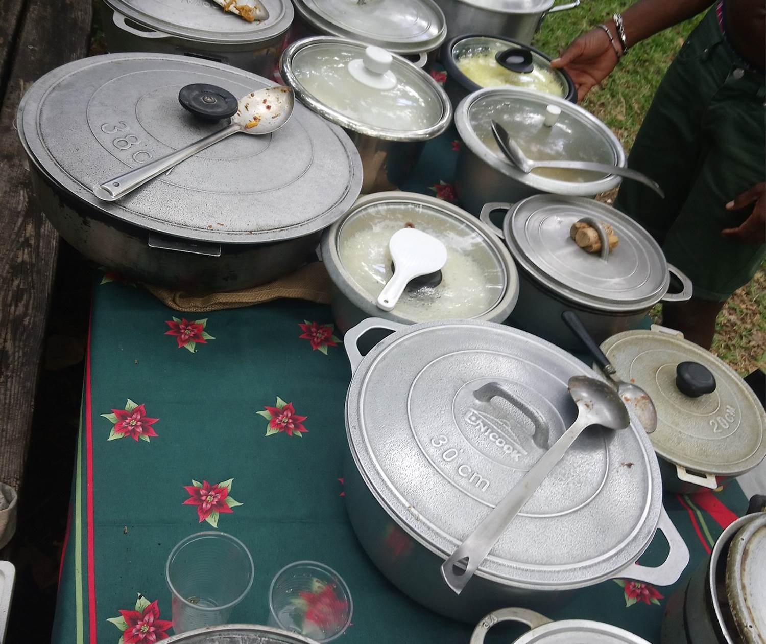 Picnic dimanche à l'Ermitage