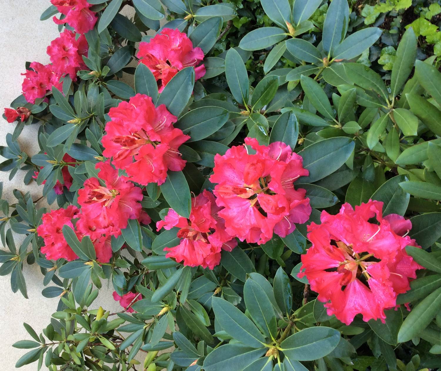 En Avril , la nature explose !