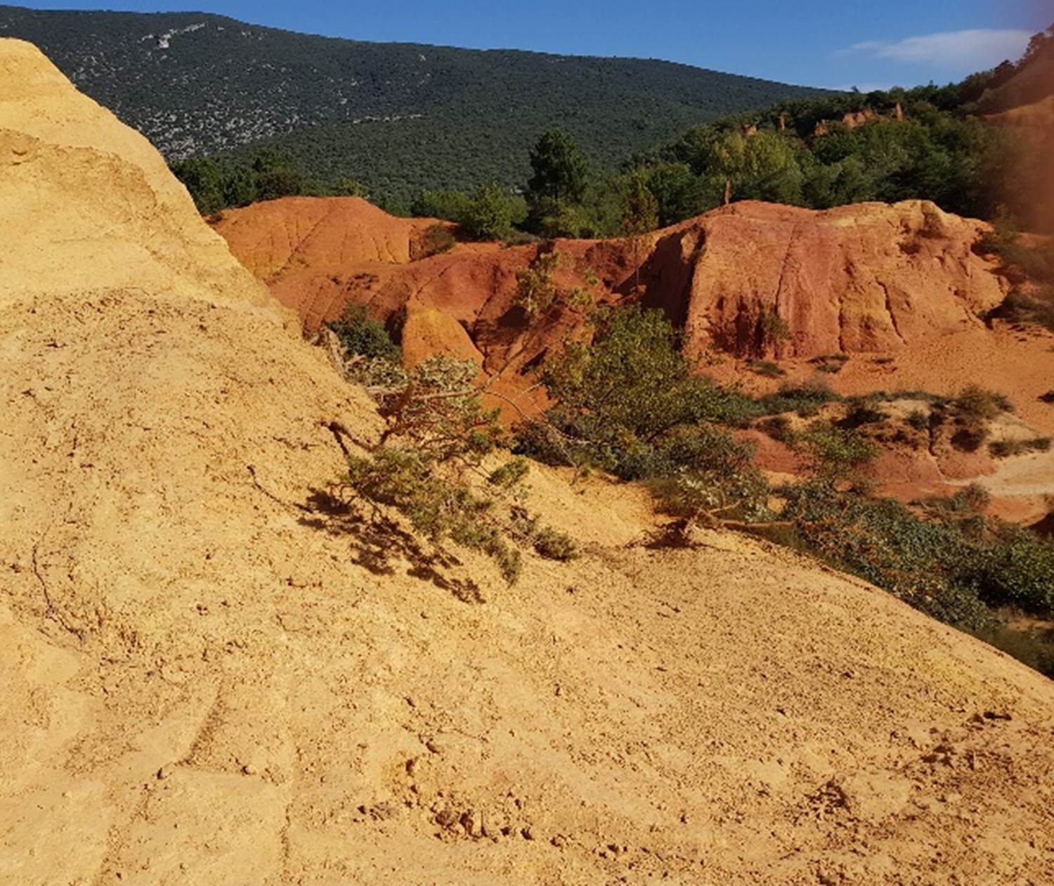 Colorado provençal B