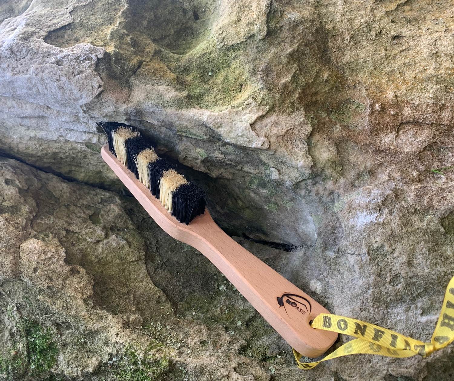 Bloasis brush gratoon bouldering Fontainebleau
