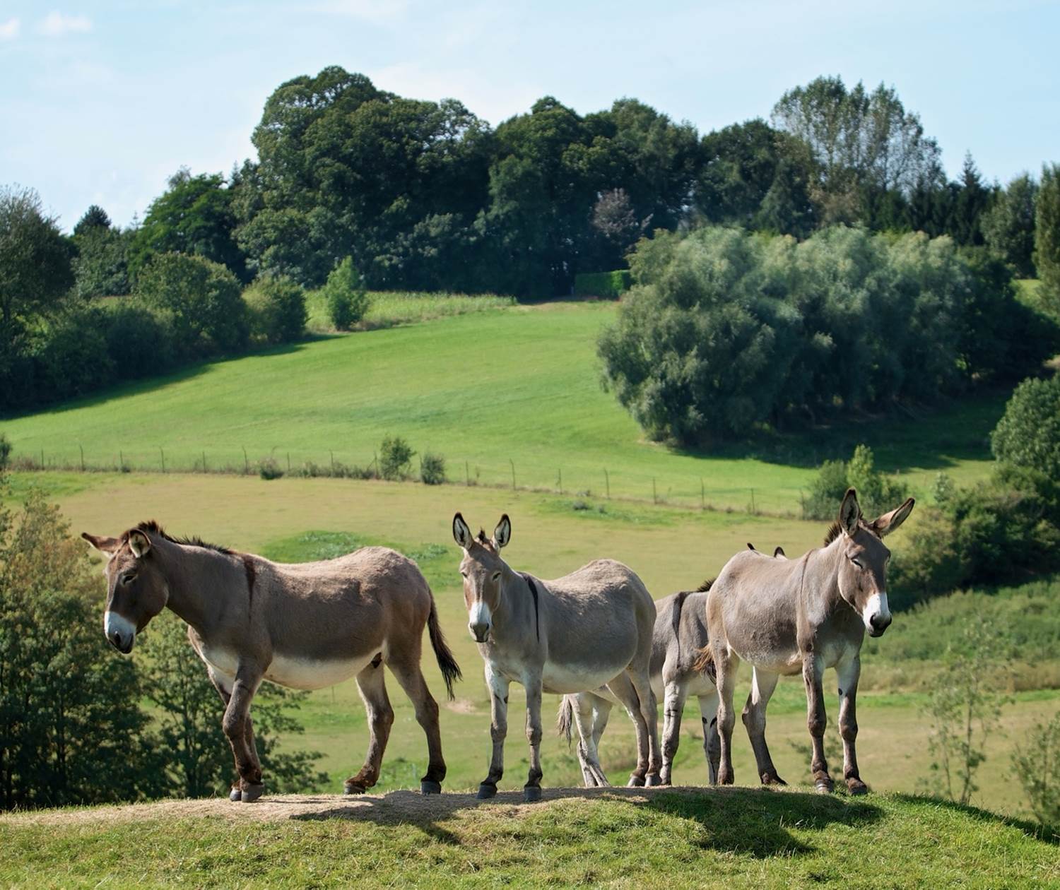 Beauté nature et découverte