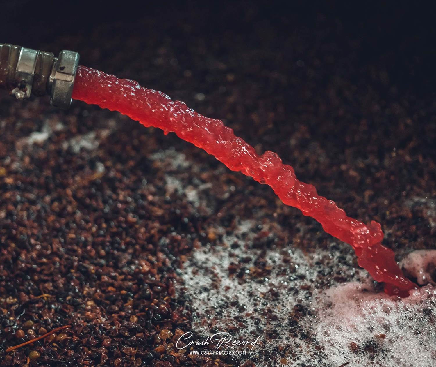 La vinification des vins rouges