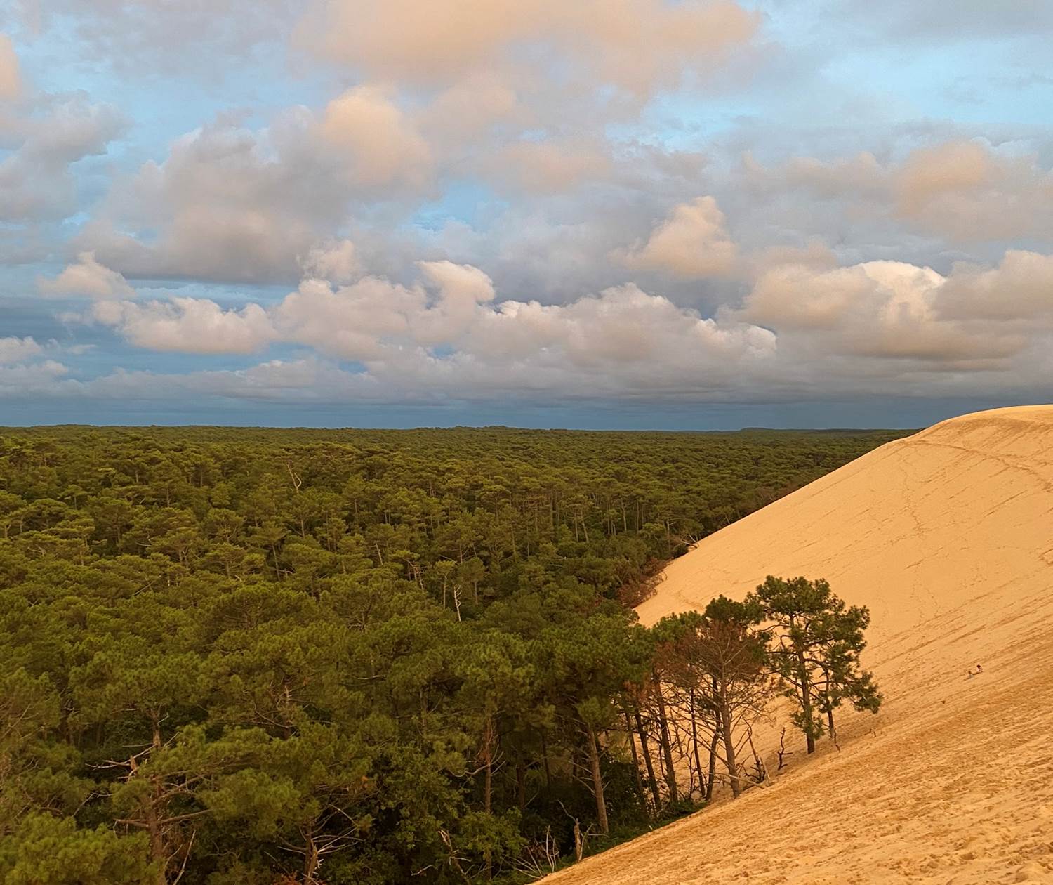 Dune du Pilat