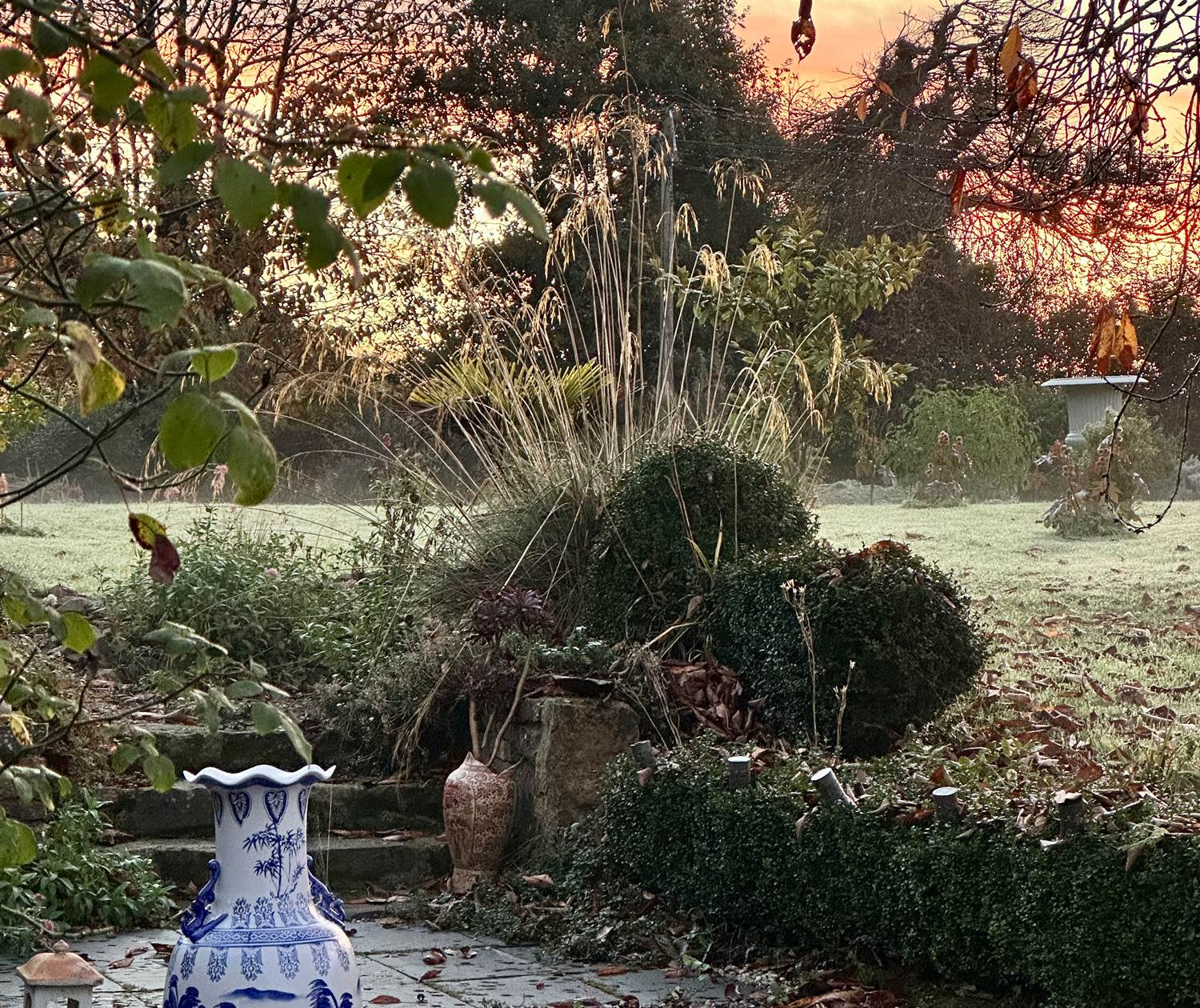 beauté du jardin en hiver