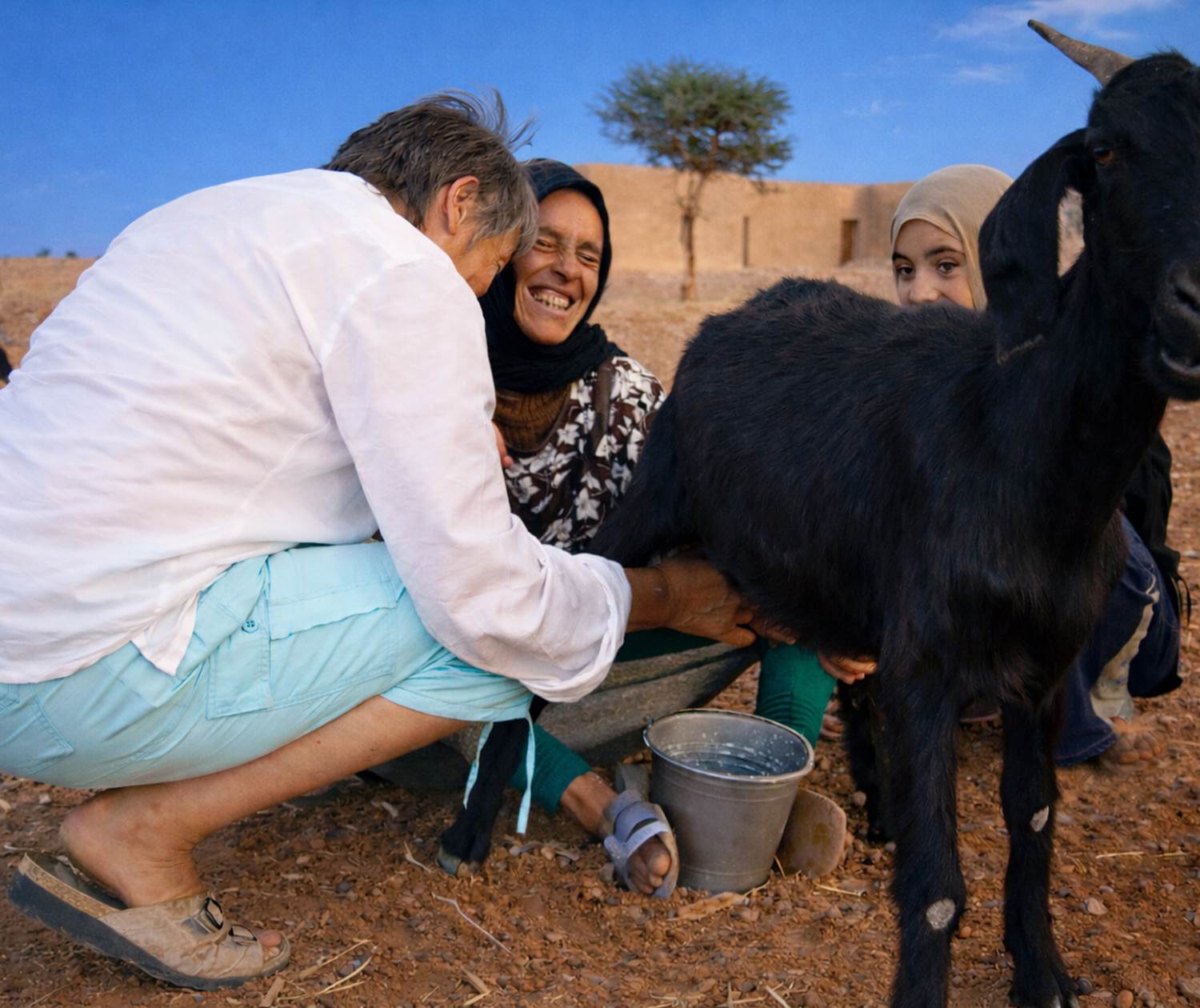 l'heure de la traite