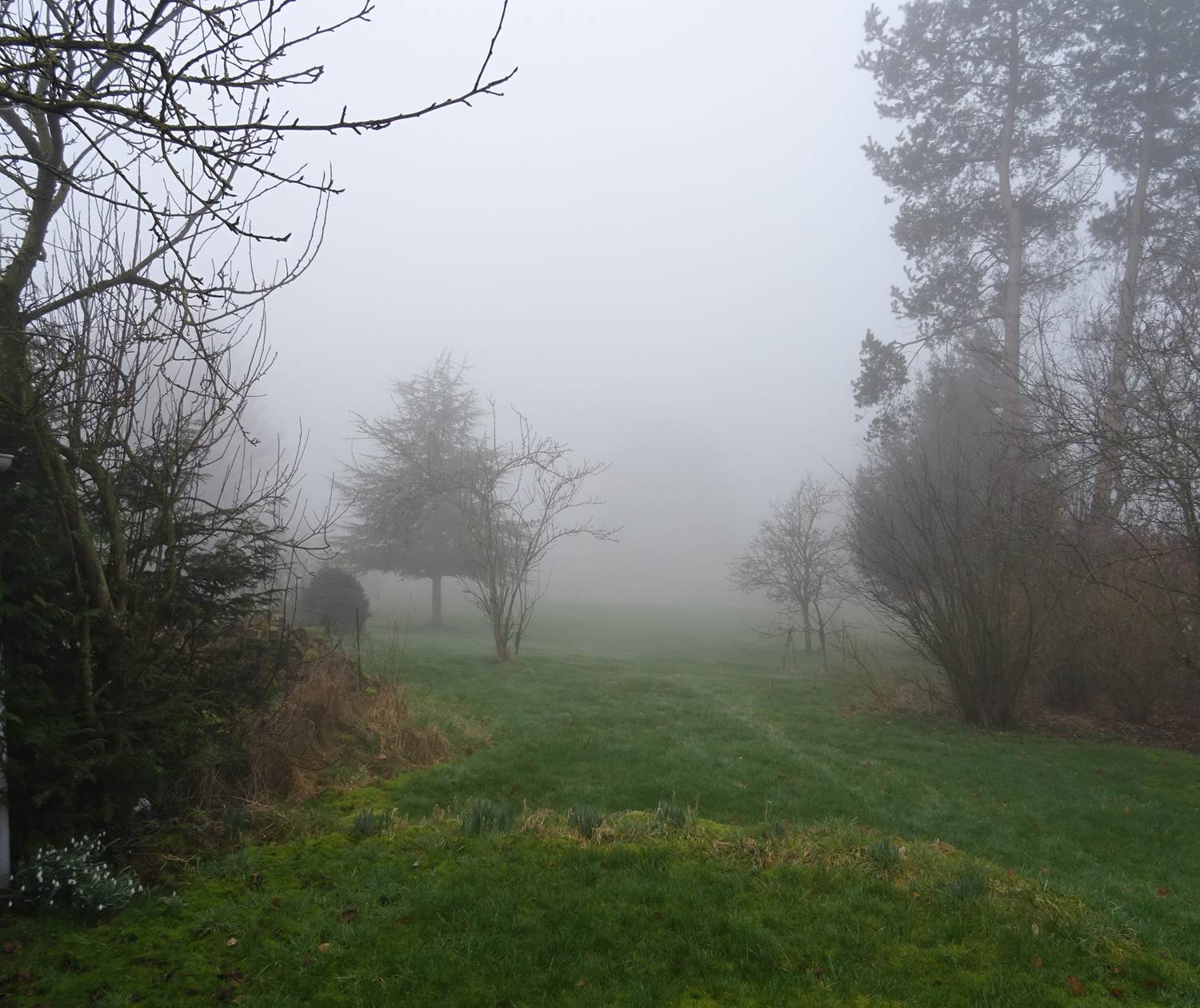 Jardin du gîte 1 dans le brouillard