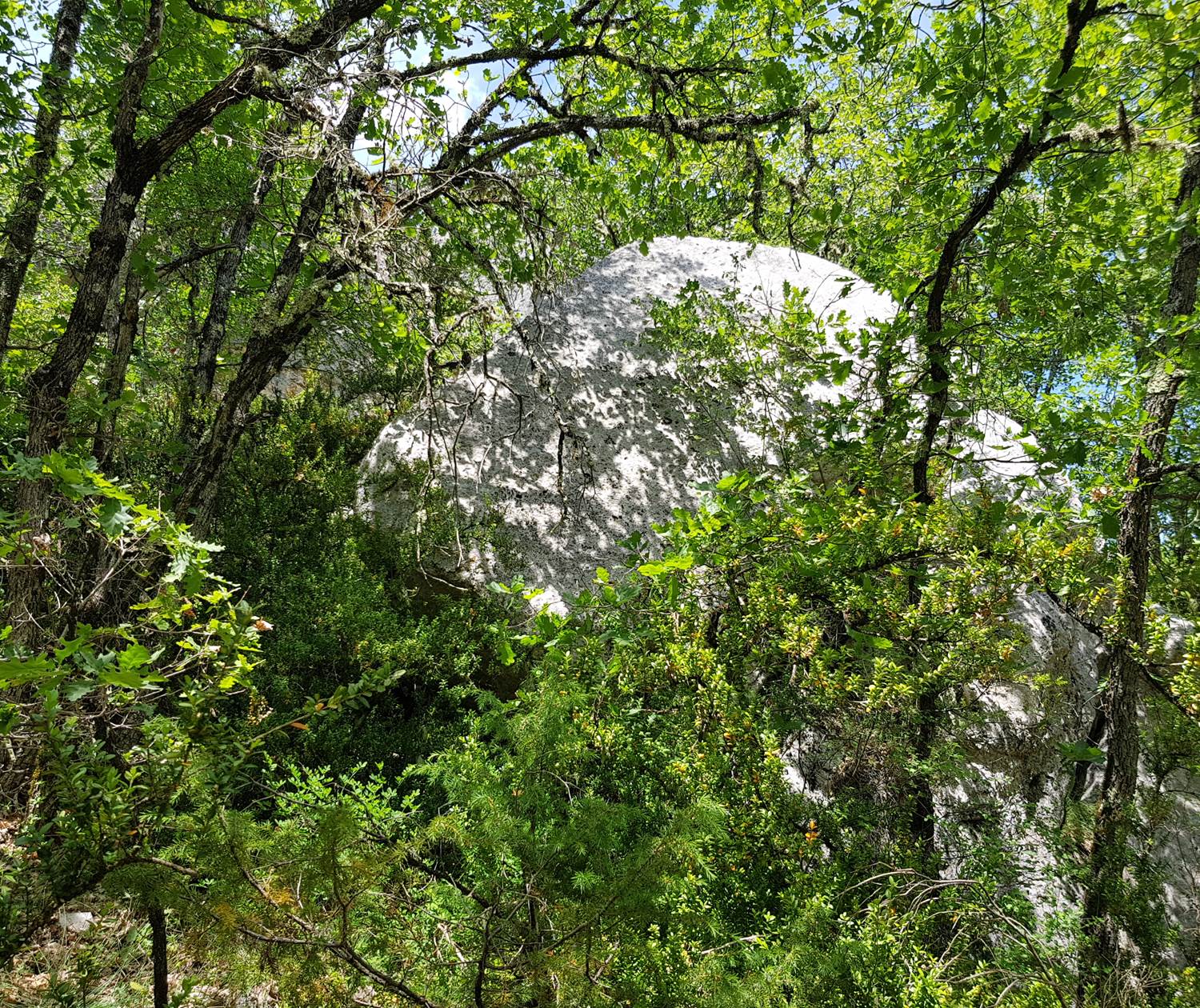 Promenade_dans_les_chênes_et_les_rochers