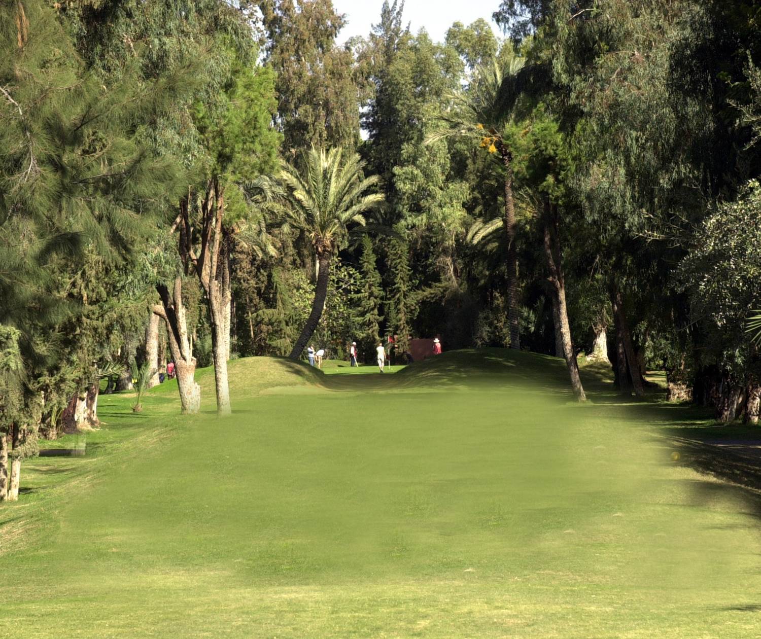 Golf Royal Marrakech - Par 3