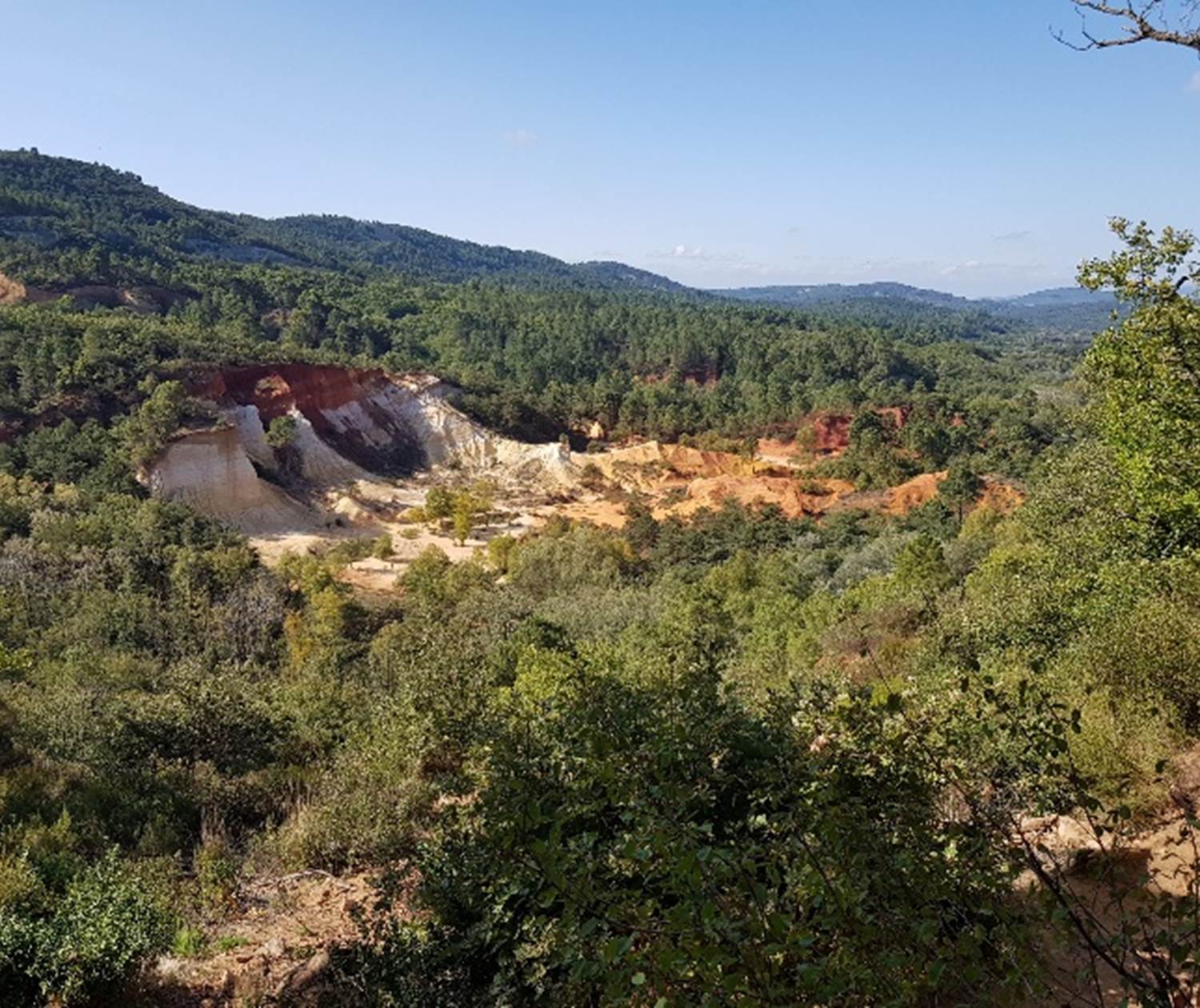 Colorado provençal C