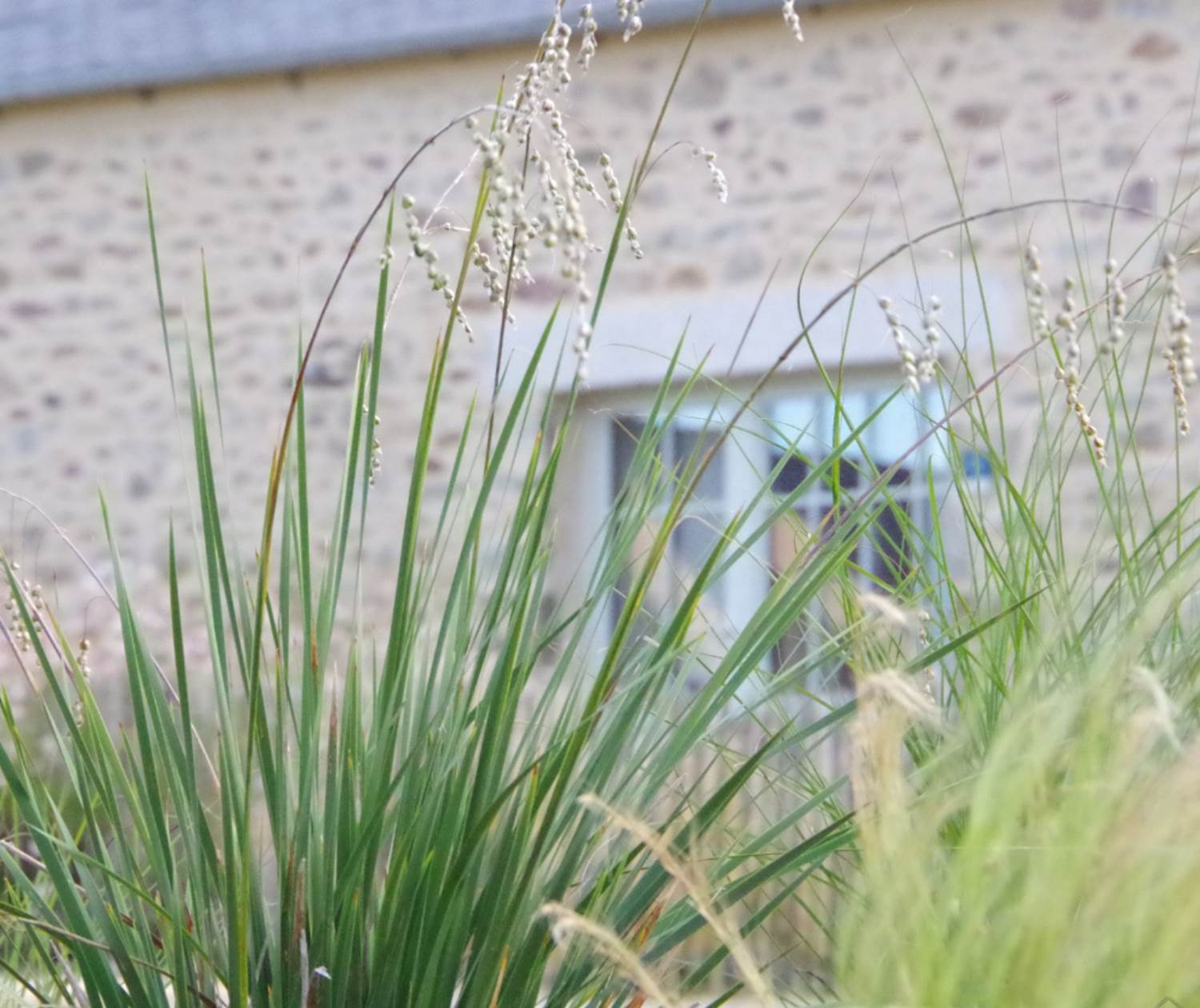 Un charme brut et authentique