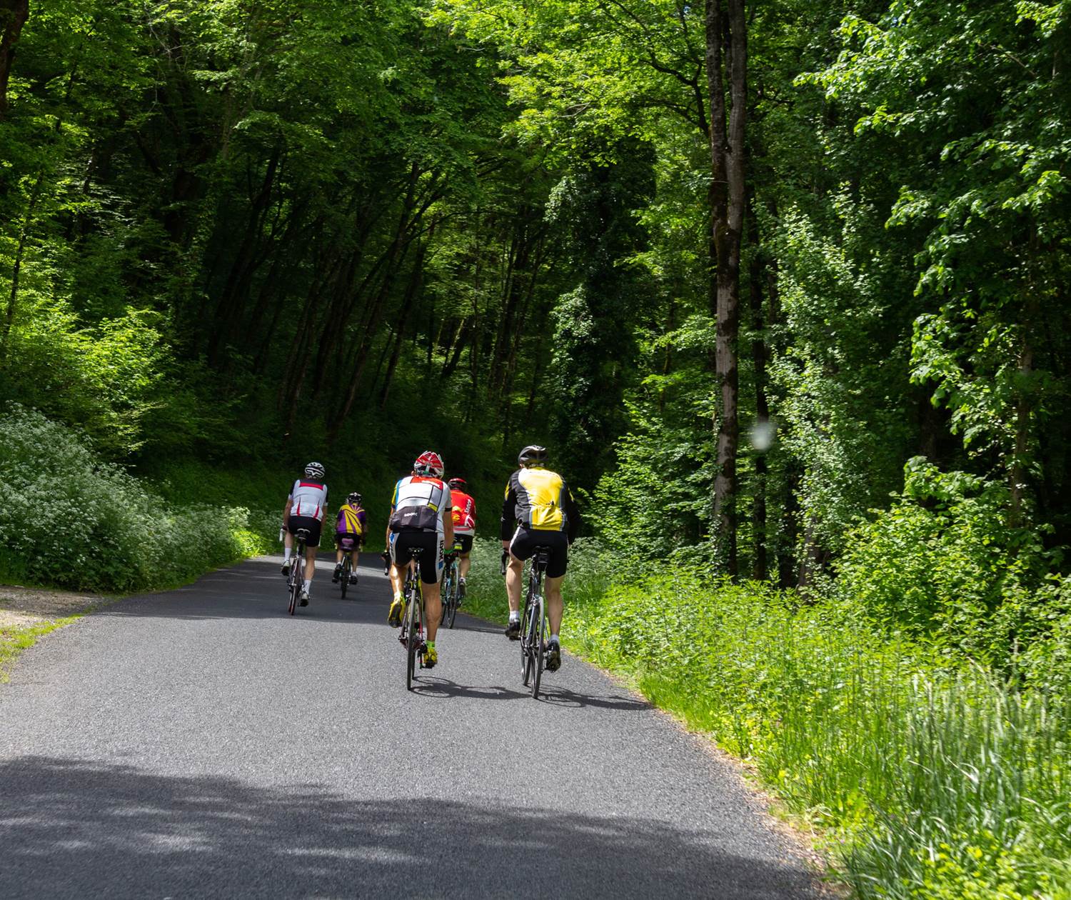 Cyclistes à Lacave © Lot Tourisme C