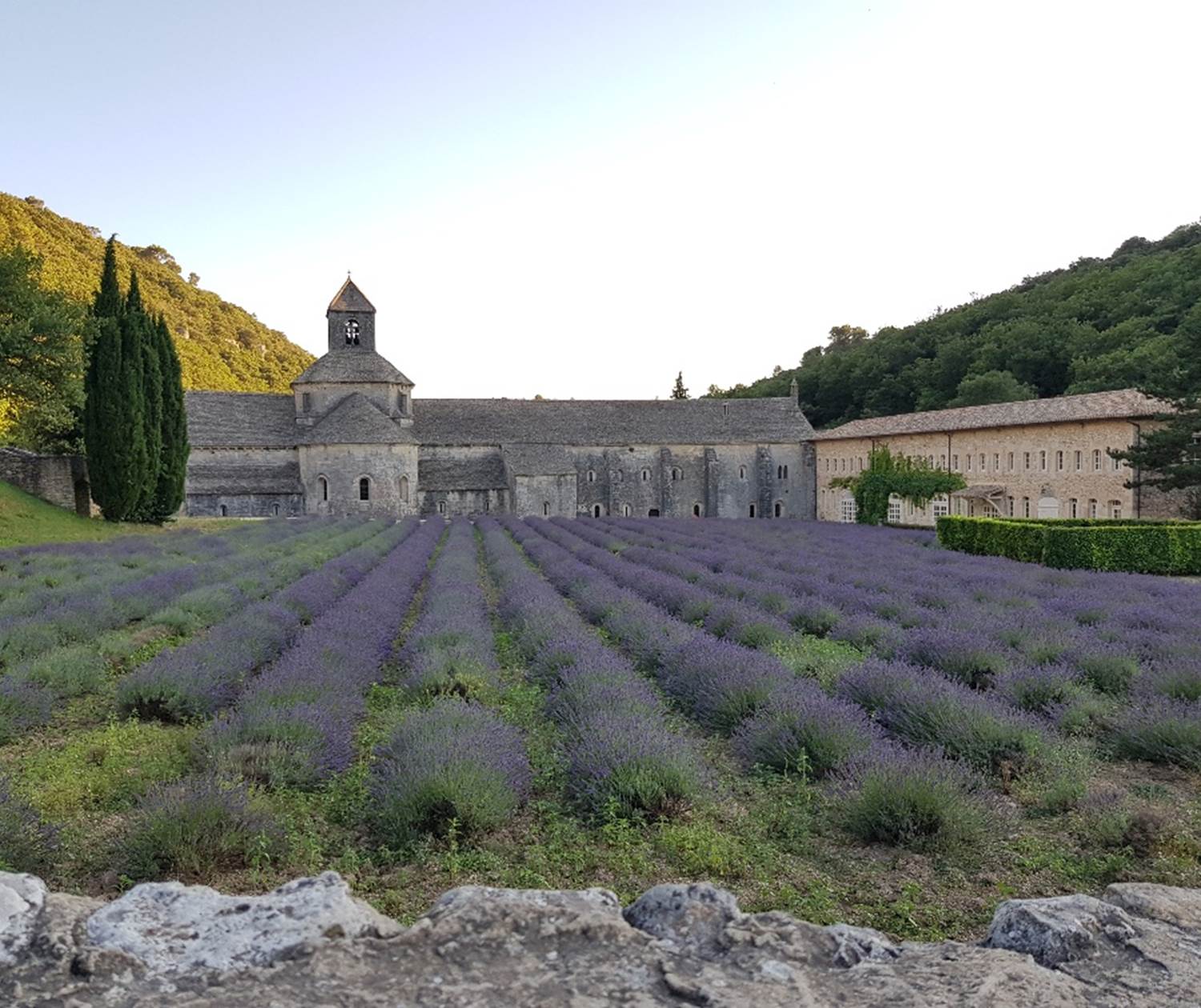 Abbaye de Senanque près de Gordes Luberon