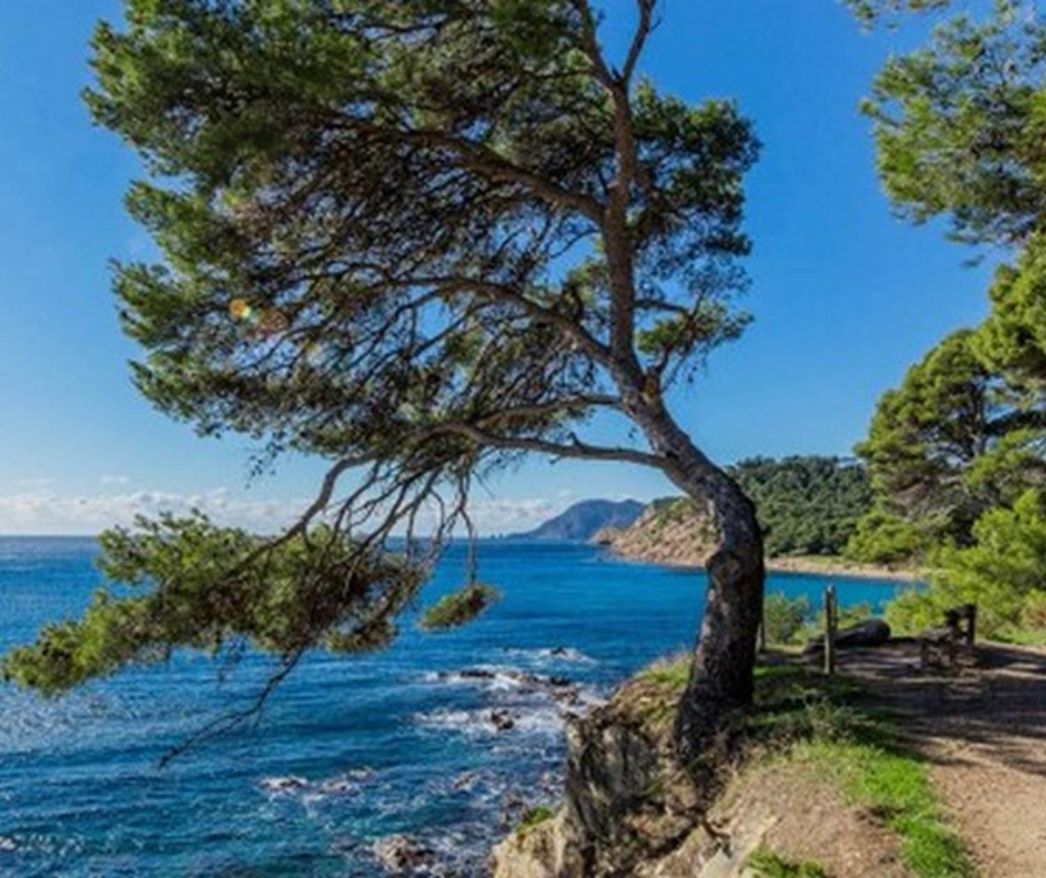 Sentier du littoral Saint Mandrier