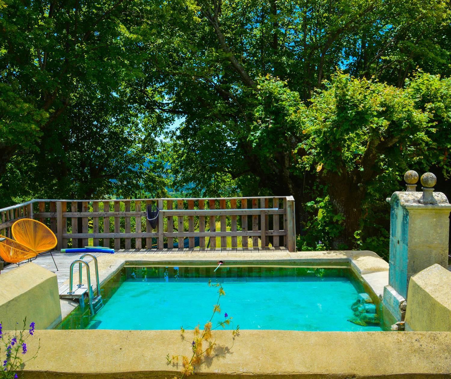 Le bassin alimenté par la source de la montagne de Lure pour un bain plein d'énergie