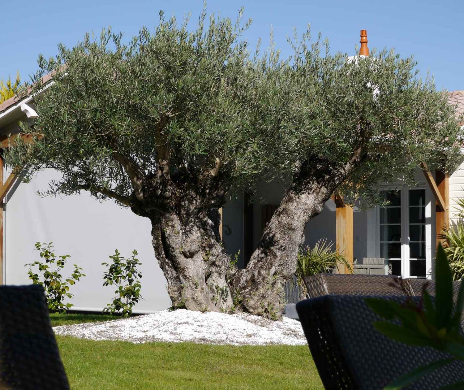 Jardin maison d'hôtes Une Escale à Pornic