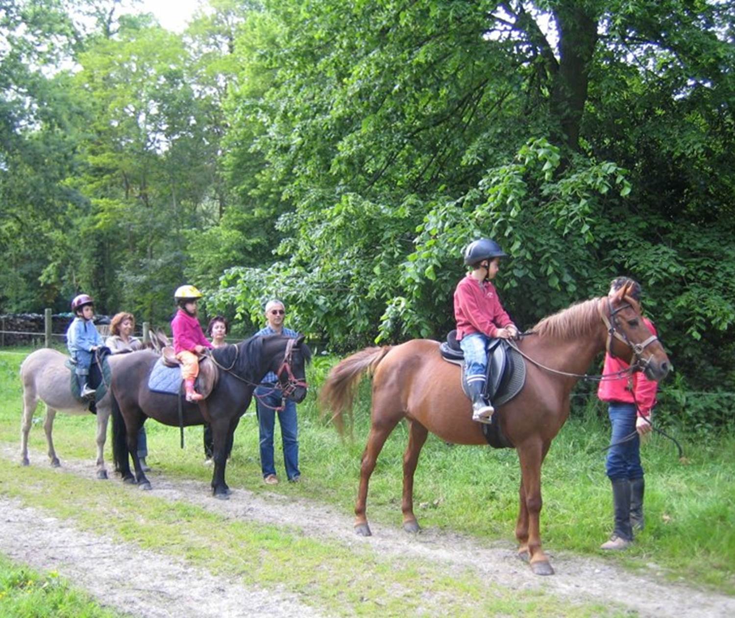 Château de Behen Chevaux