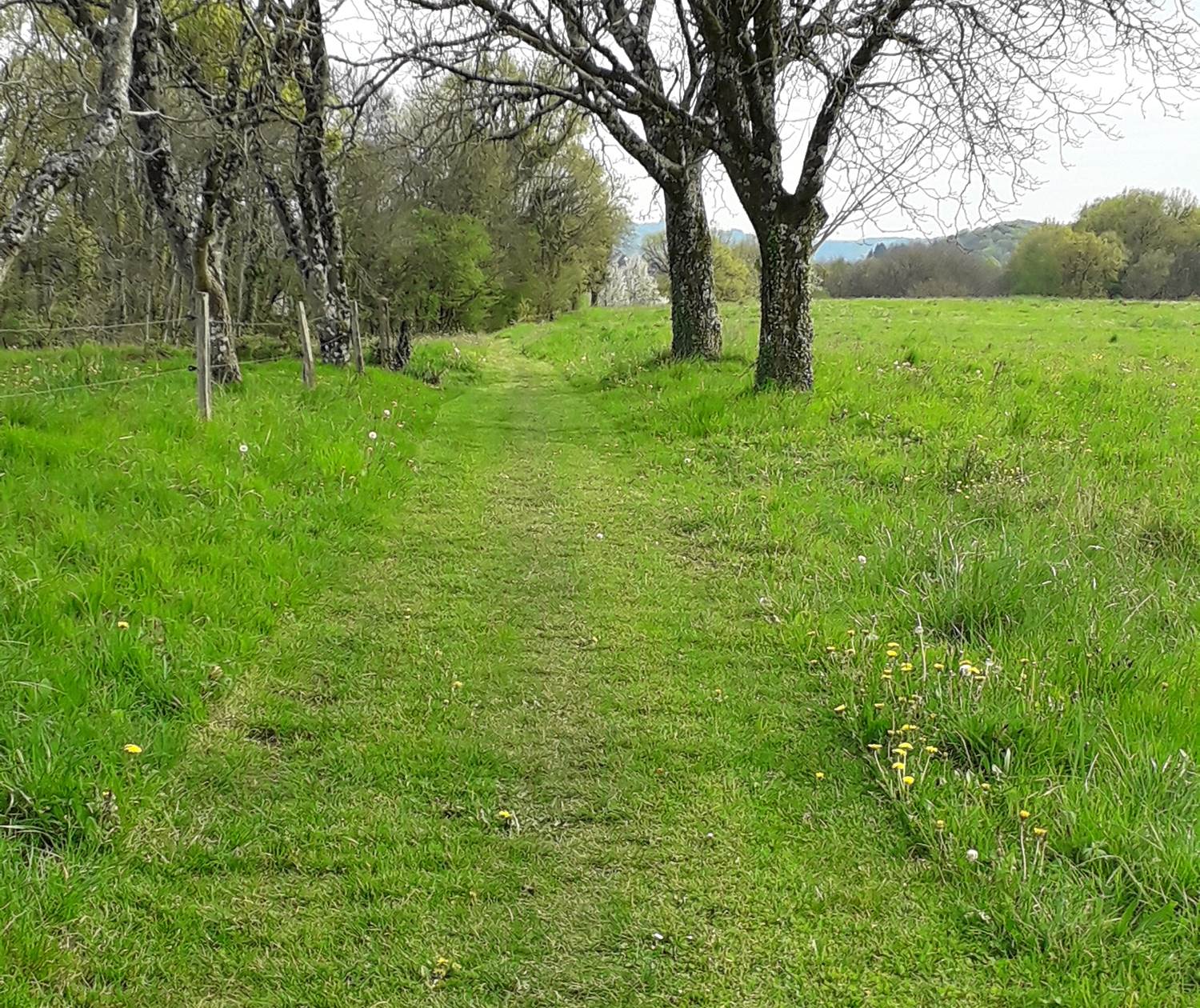 IMG_20200407_203834_017