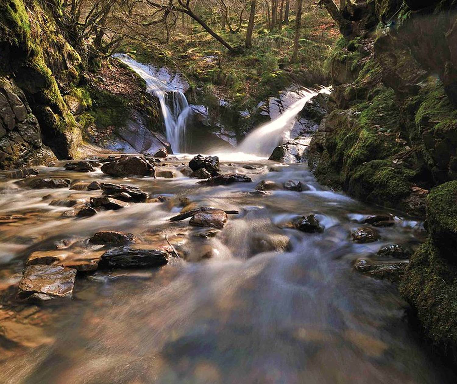 BIT_0005-_6238_-1-0005[1]