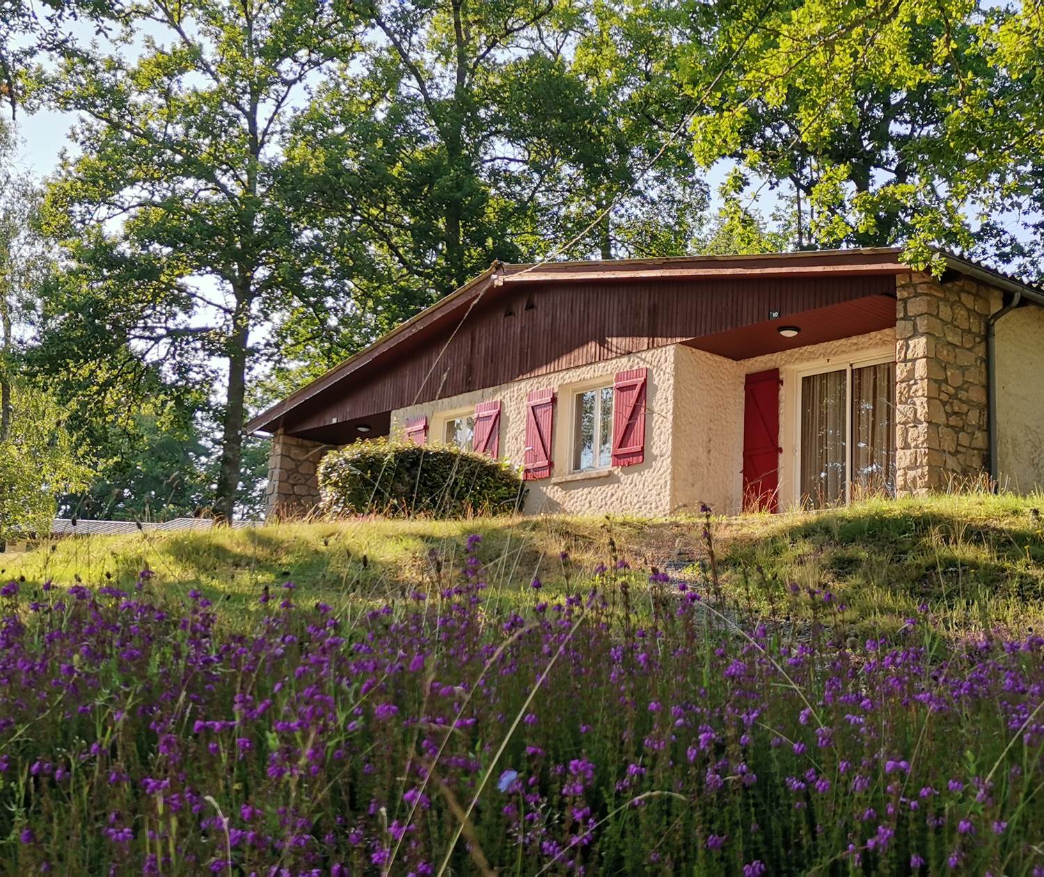 Logement Luzège Vendahaut Lapleau