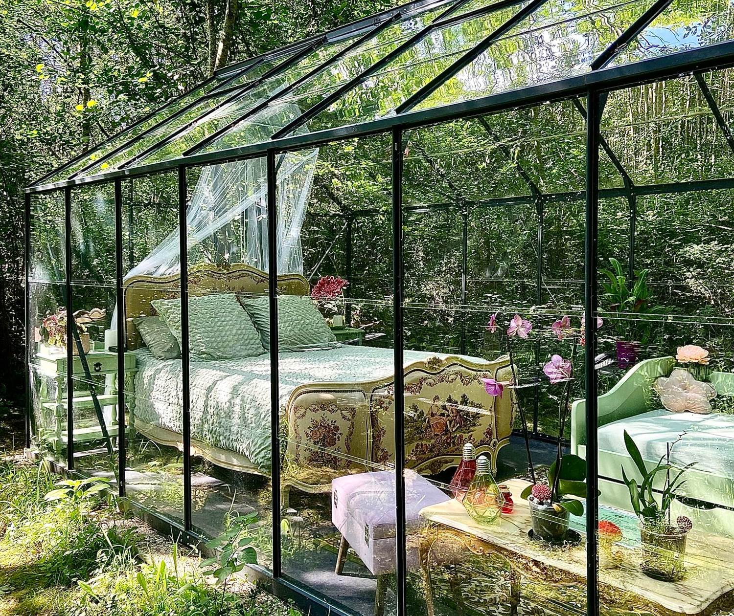 serre Les Rêves d'Ambre