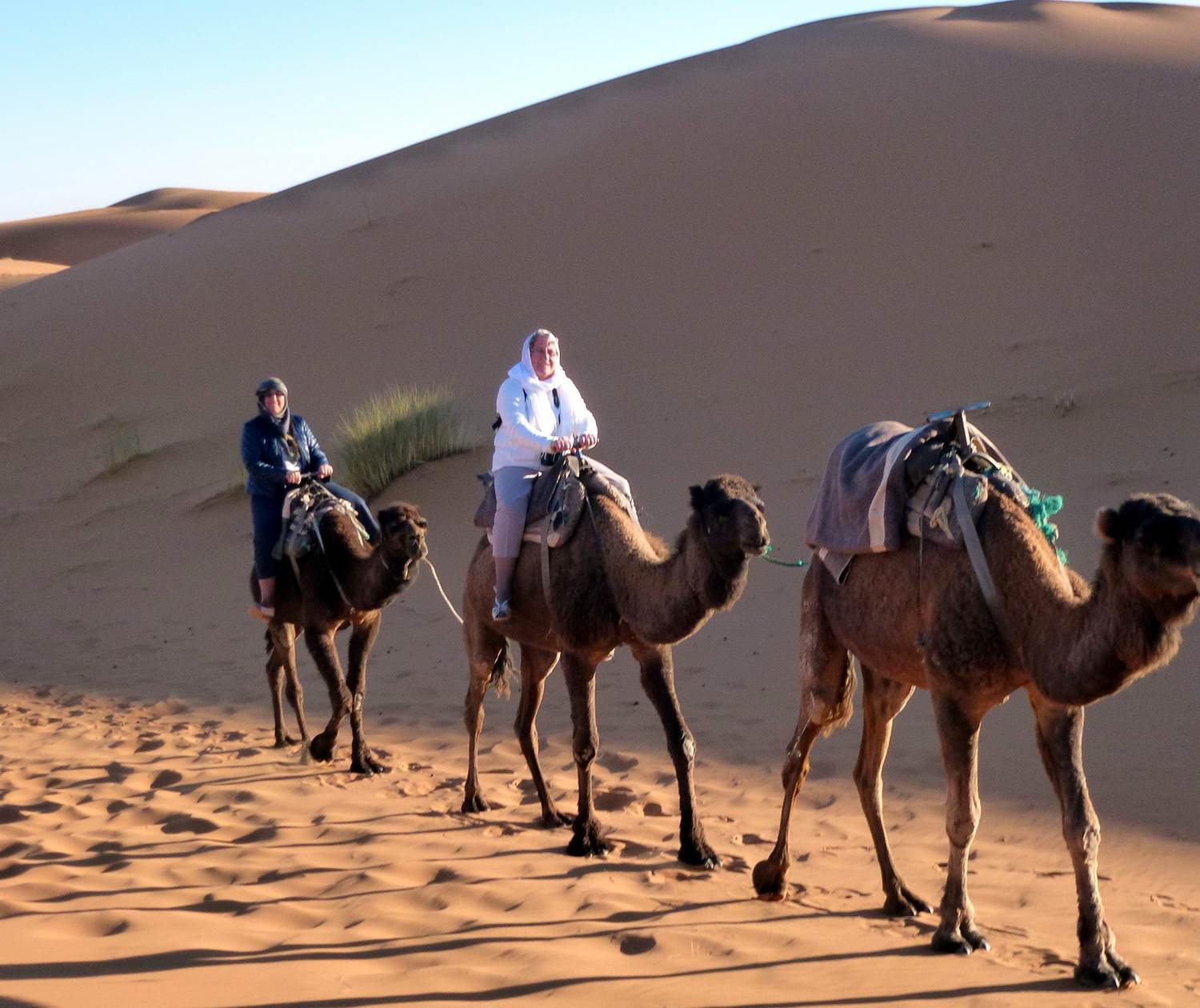 Randonnée chamelière