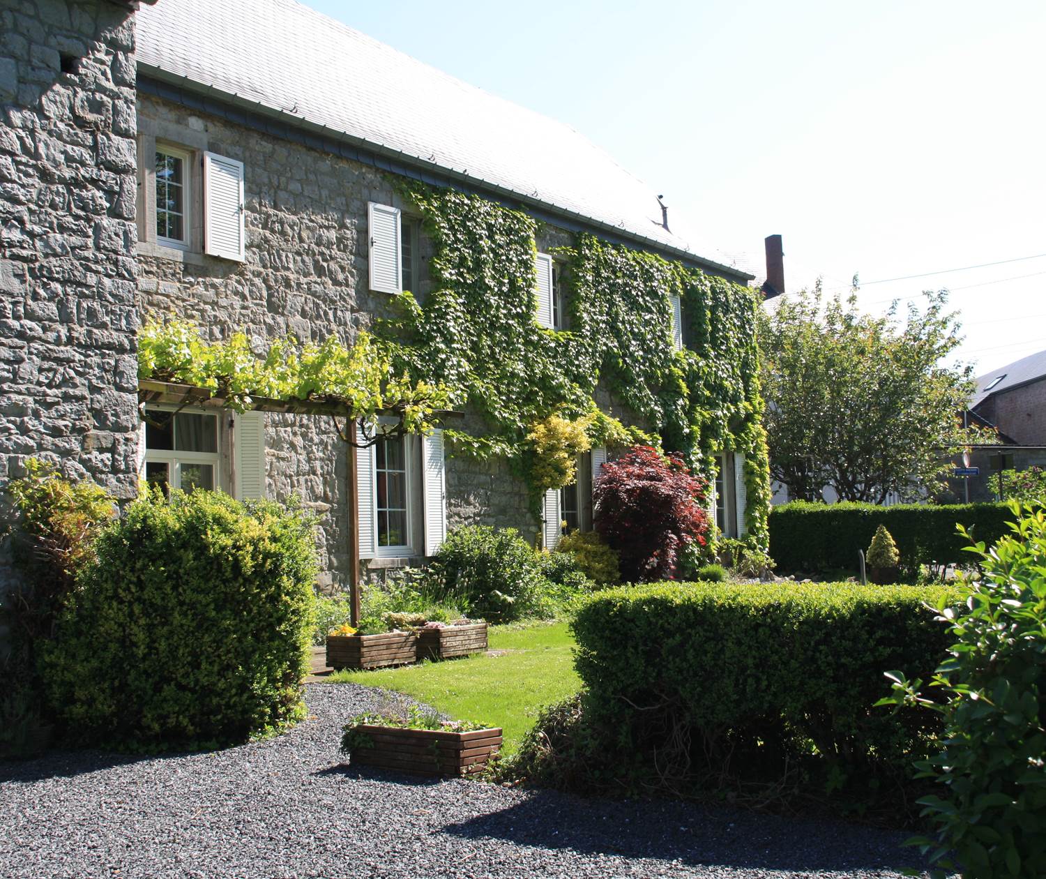 Avant : la haie en buis