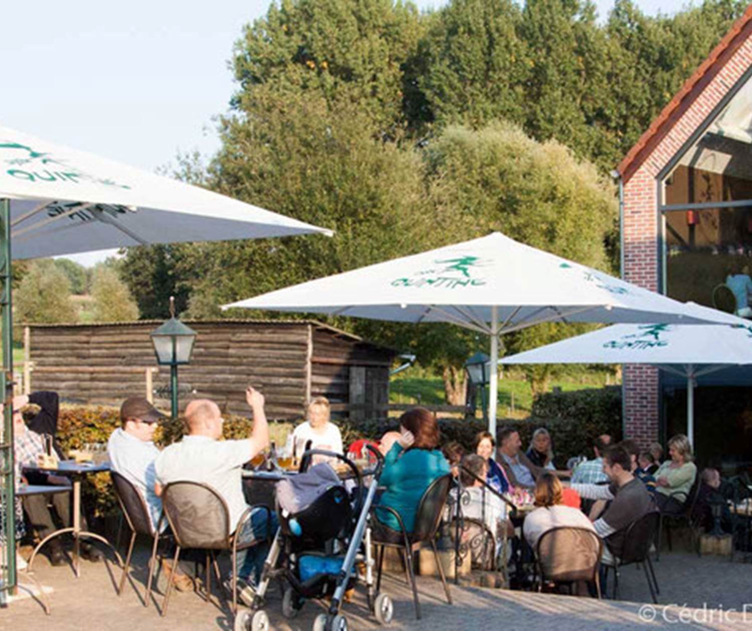 Dégustation en terrasse