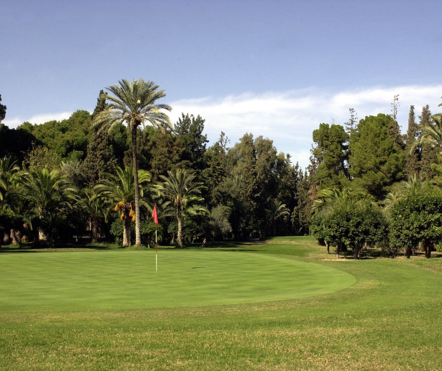 Golf Royal Marrakech - Green du n°18 Par 3