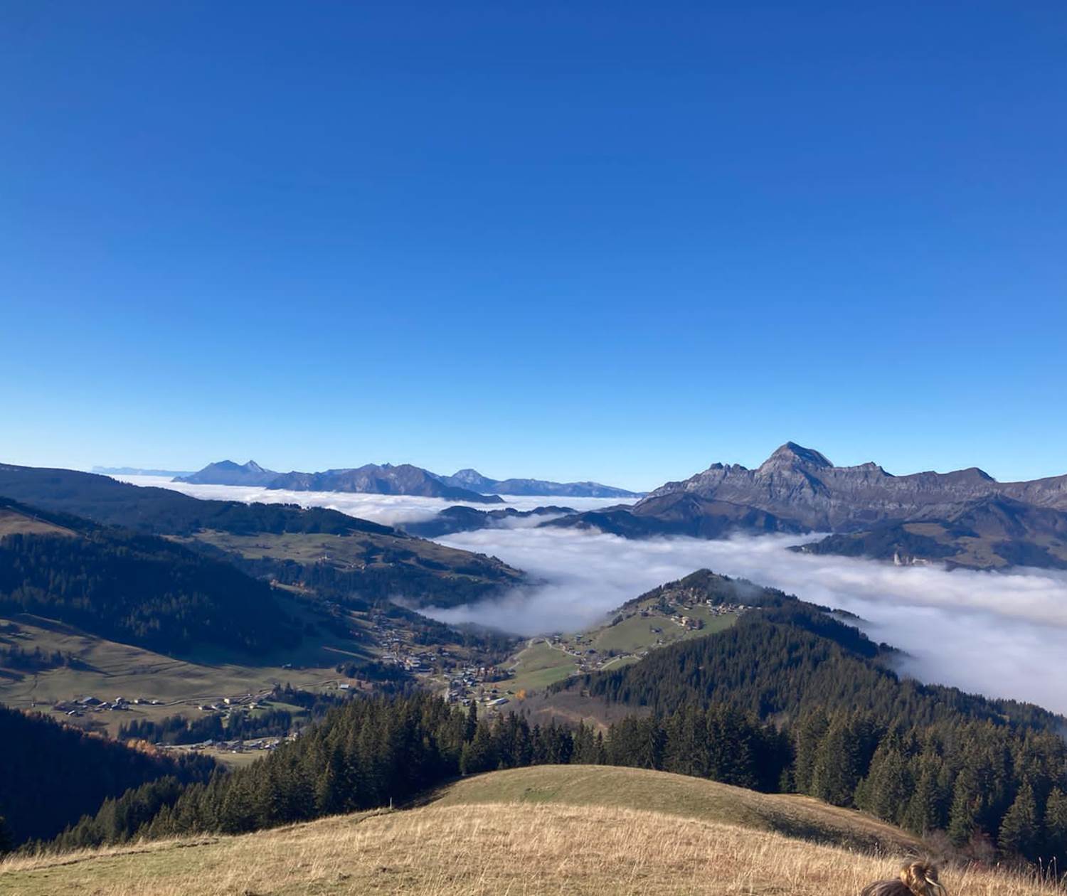 Vue depuis le Crêt du Midi