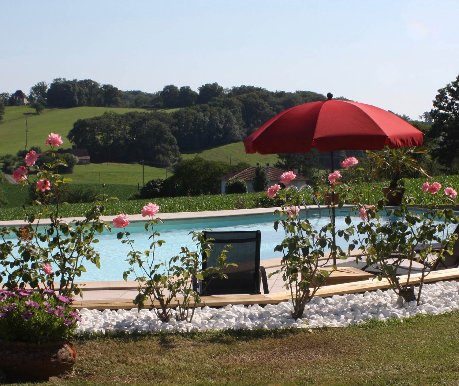 Pool with a view / piscine avec vue sur les collines
