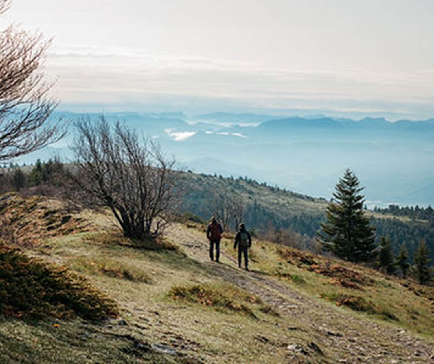 Un nouveau point de vue chaque jour
