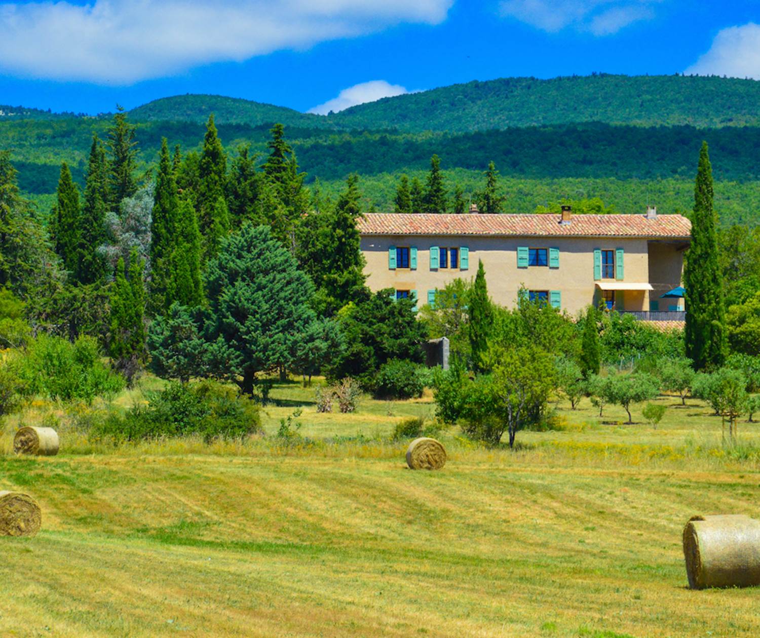 Votre lieu de stage : la Bastide du Claus, au pied de la montagne de Lure, à 740m d'altitude.