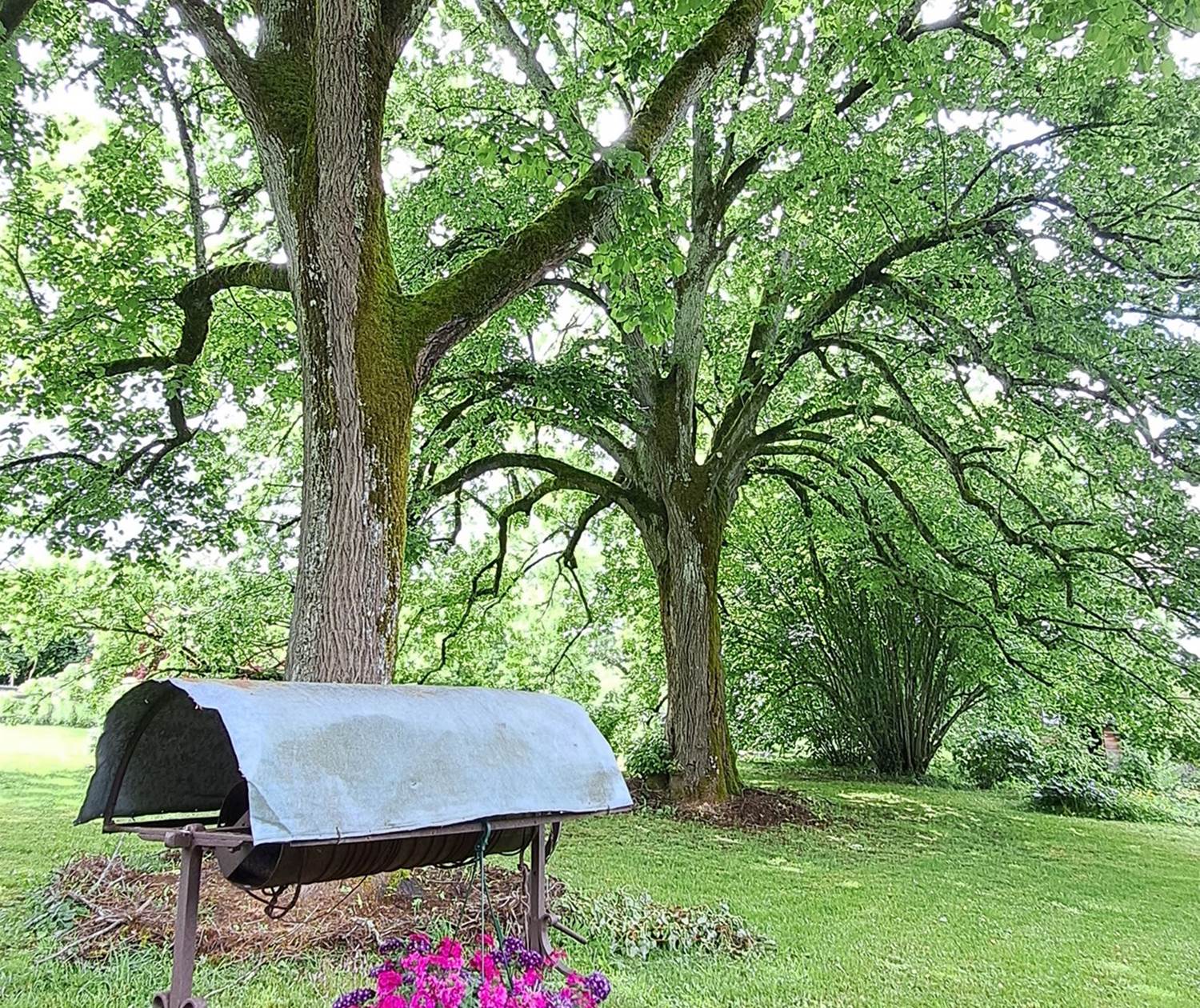 sous les tilleuls INYAQAB