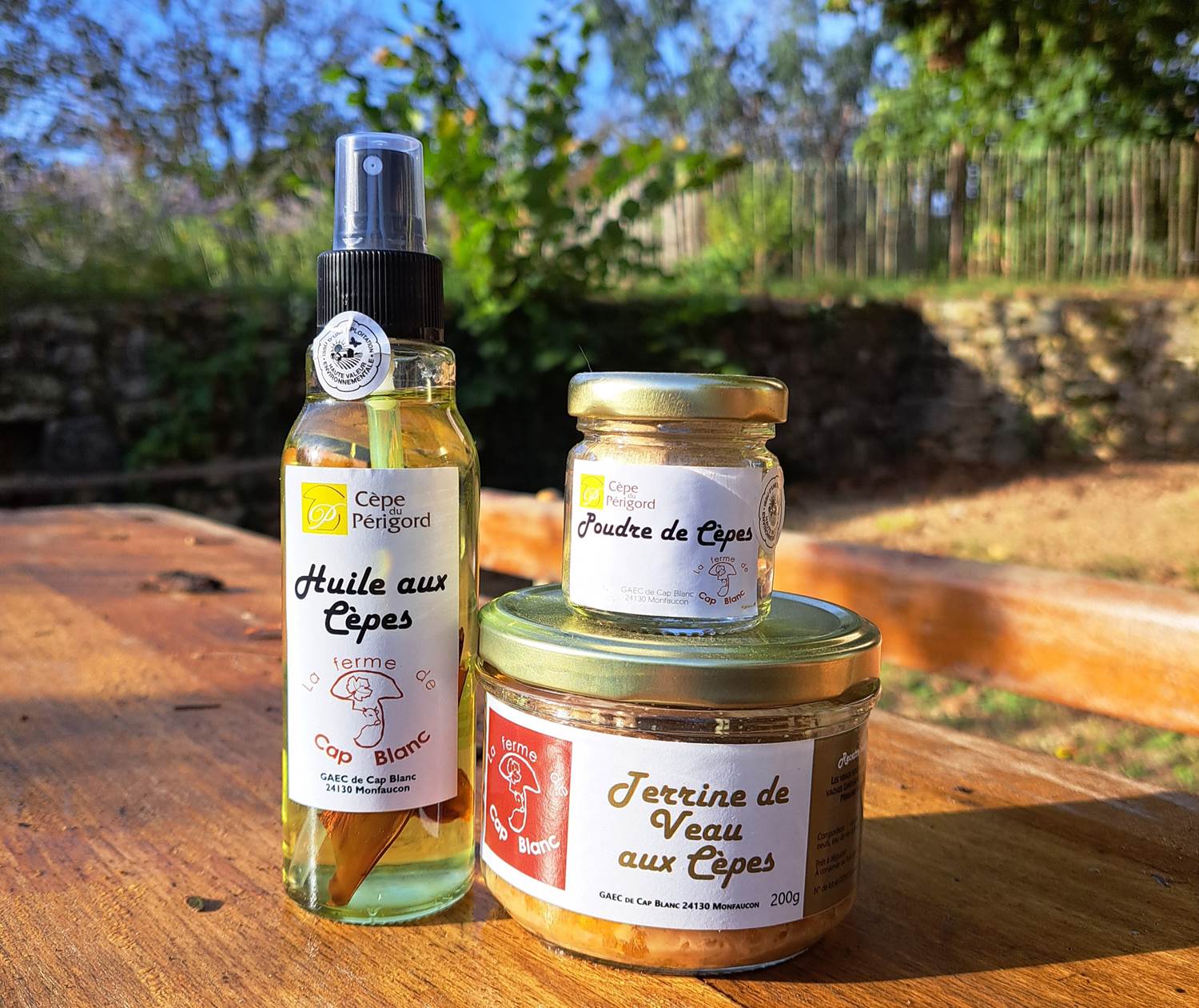 Cèpes du Périgord Ferme de Cap Blanc Boutique INYAQAB