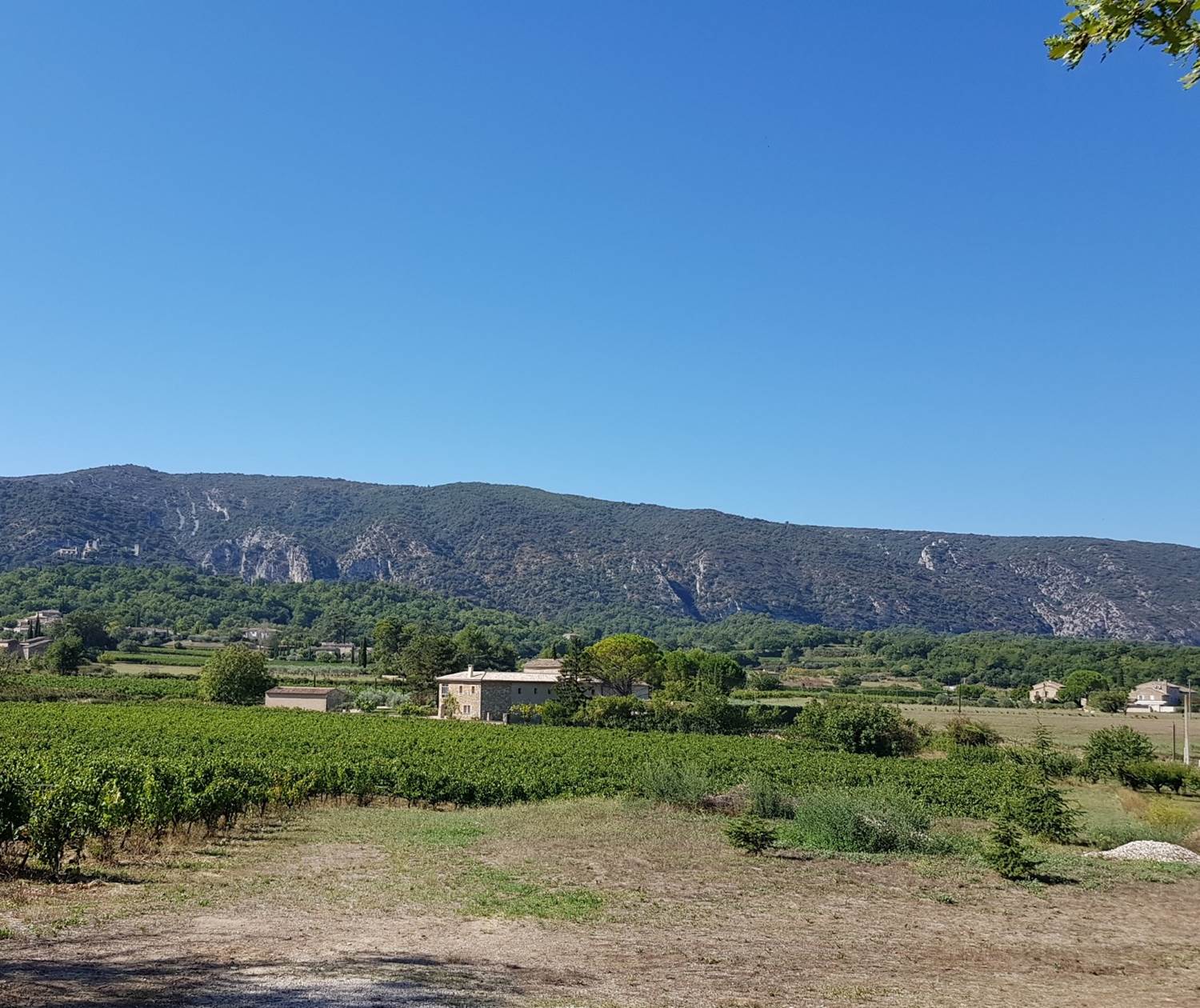 Oppède en Provence - vue Sud sur le massif du Luberon et Oppède le Vieux