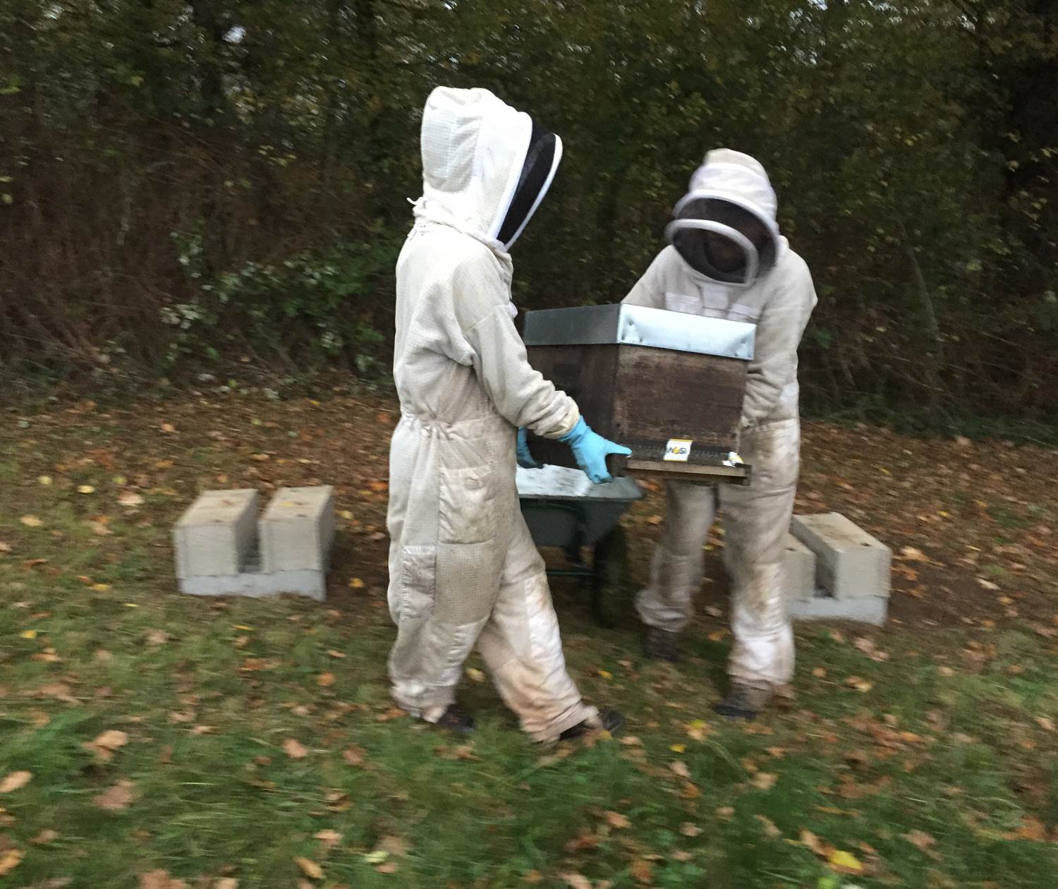 Installation du rucher