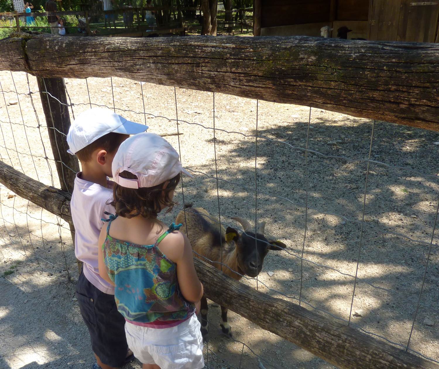 Parc animalier de Gramat © Lot Tourisme - E