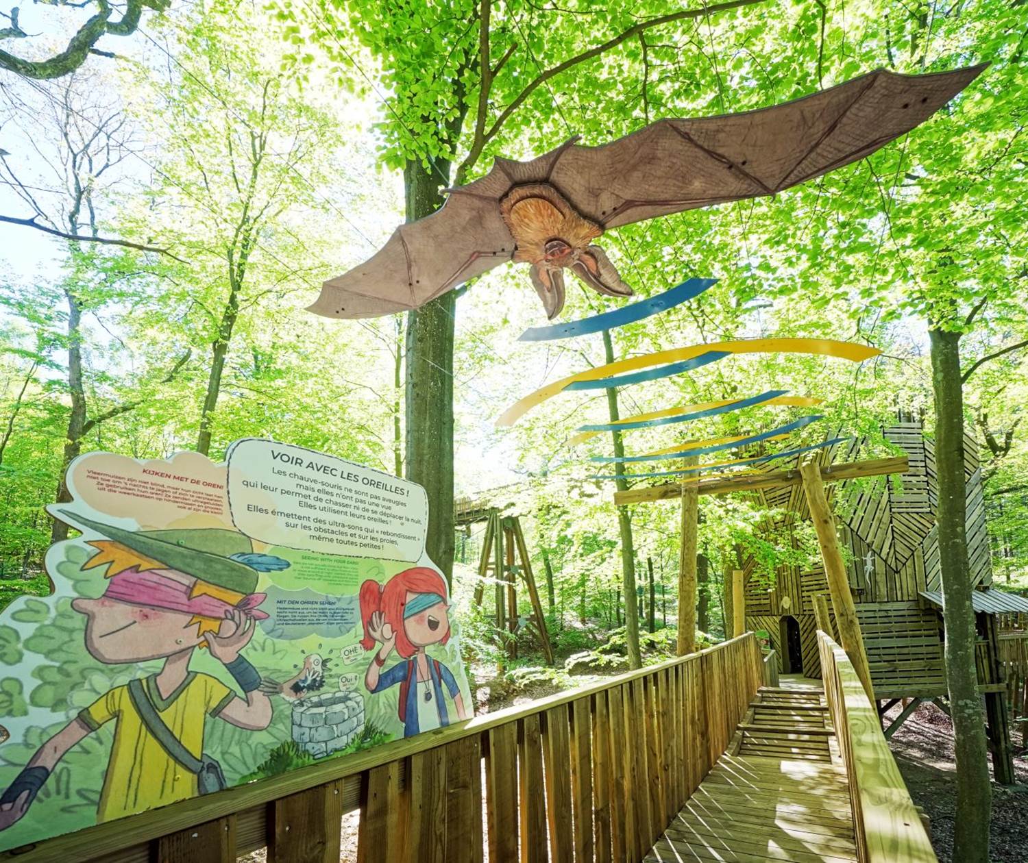 Parcours cime des arbres