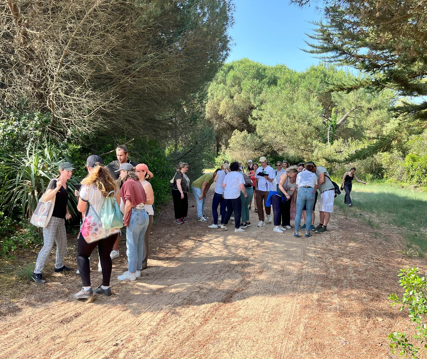 team building au bois plage en ré