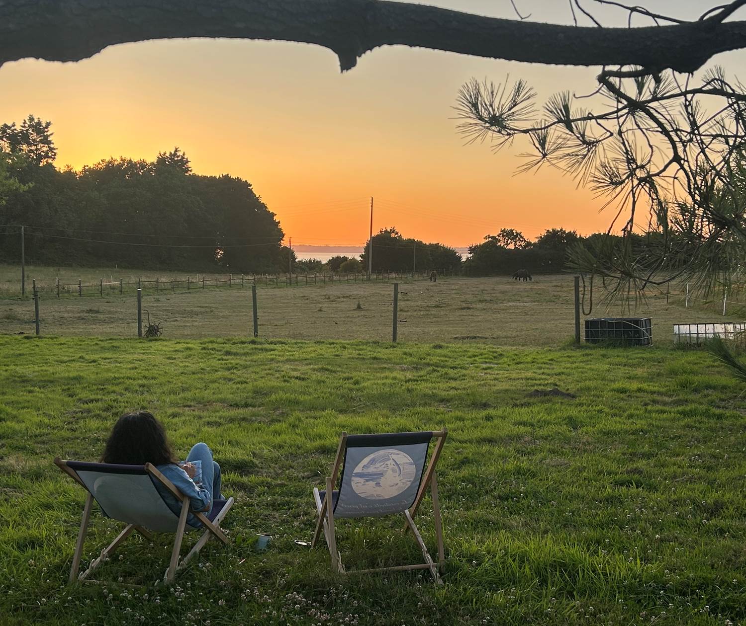 La vue depuis le jardin un soir d'été