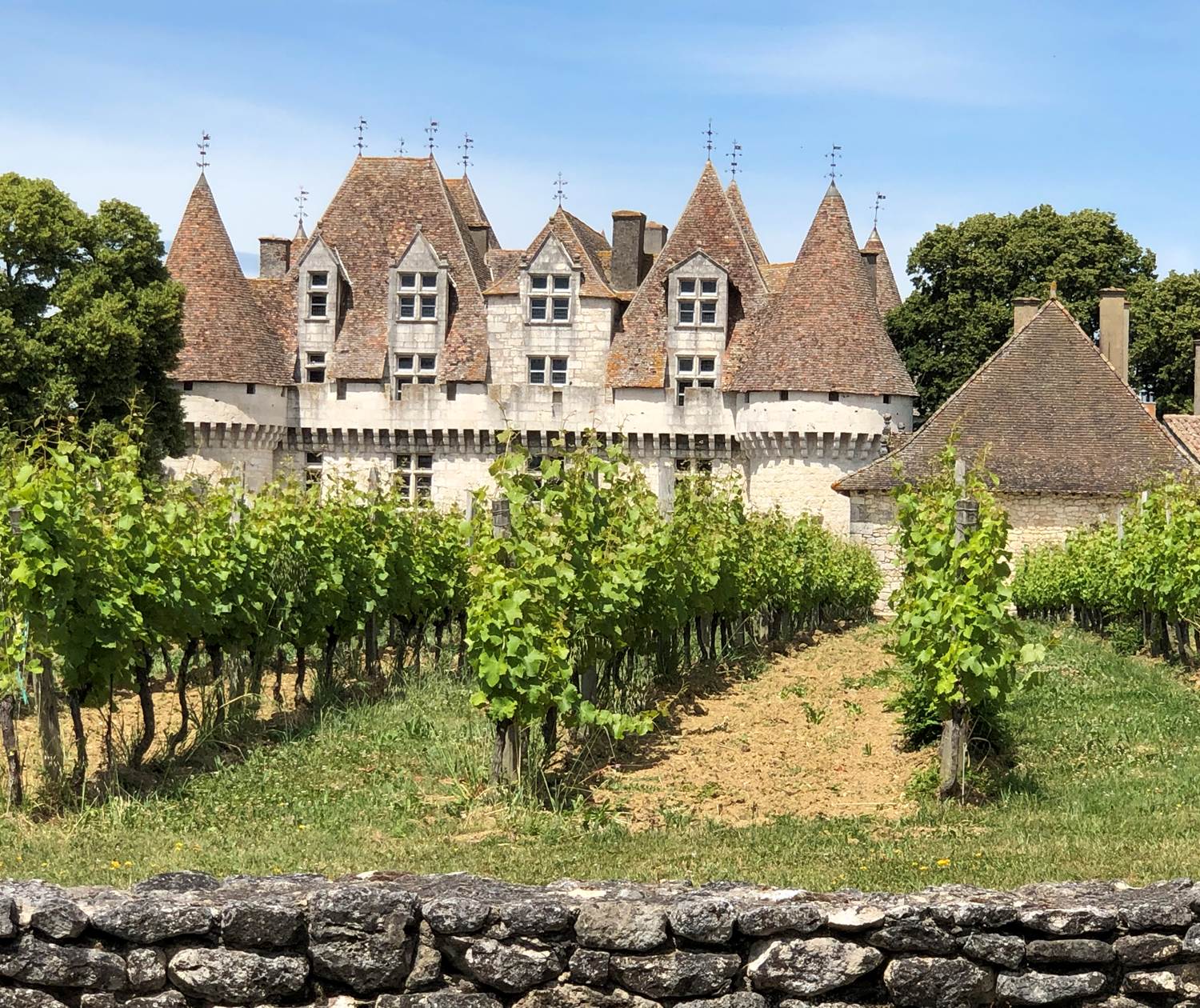 Monbazillac - son château et ses vignobles