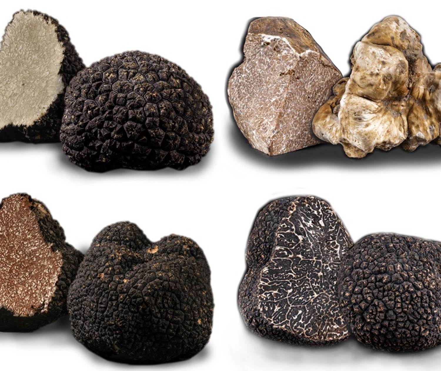 truffes-montage