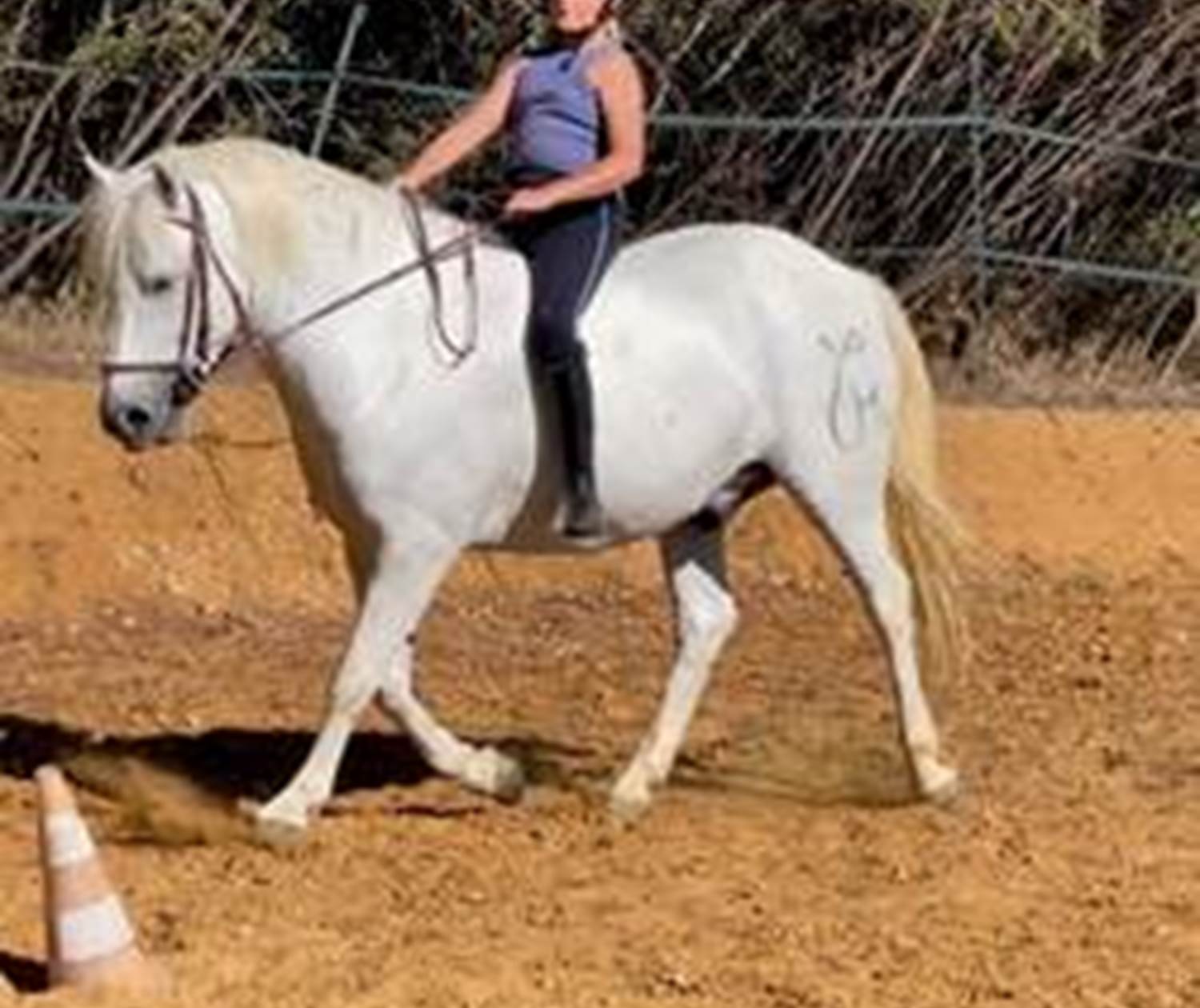 LES CHAMBRES DE MON P'TIT MAS - chambres d'hôtes - autour du cheval-